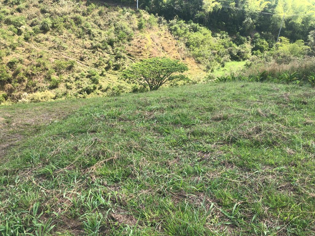 Foto de Lote / terreno en Venta en Cerritos, Pereira - 8 - 279055622