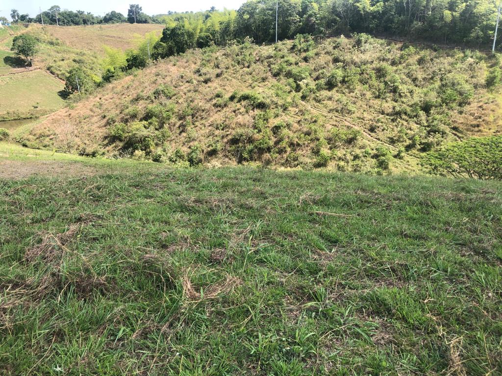 Foto de Lote / terreno en Venta en Cerritos, Pereira - 6 - 279055622