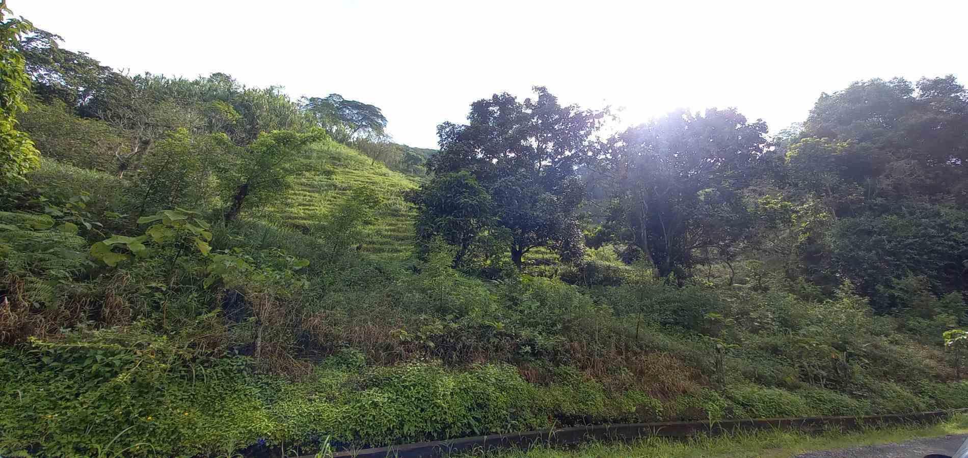 Foto de Lote / terreno en Venta en Vereda la trinidad, Manizales - 15 - 279062688