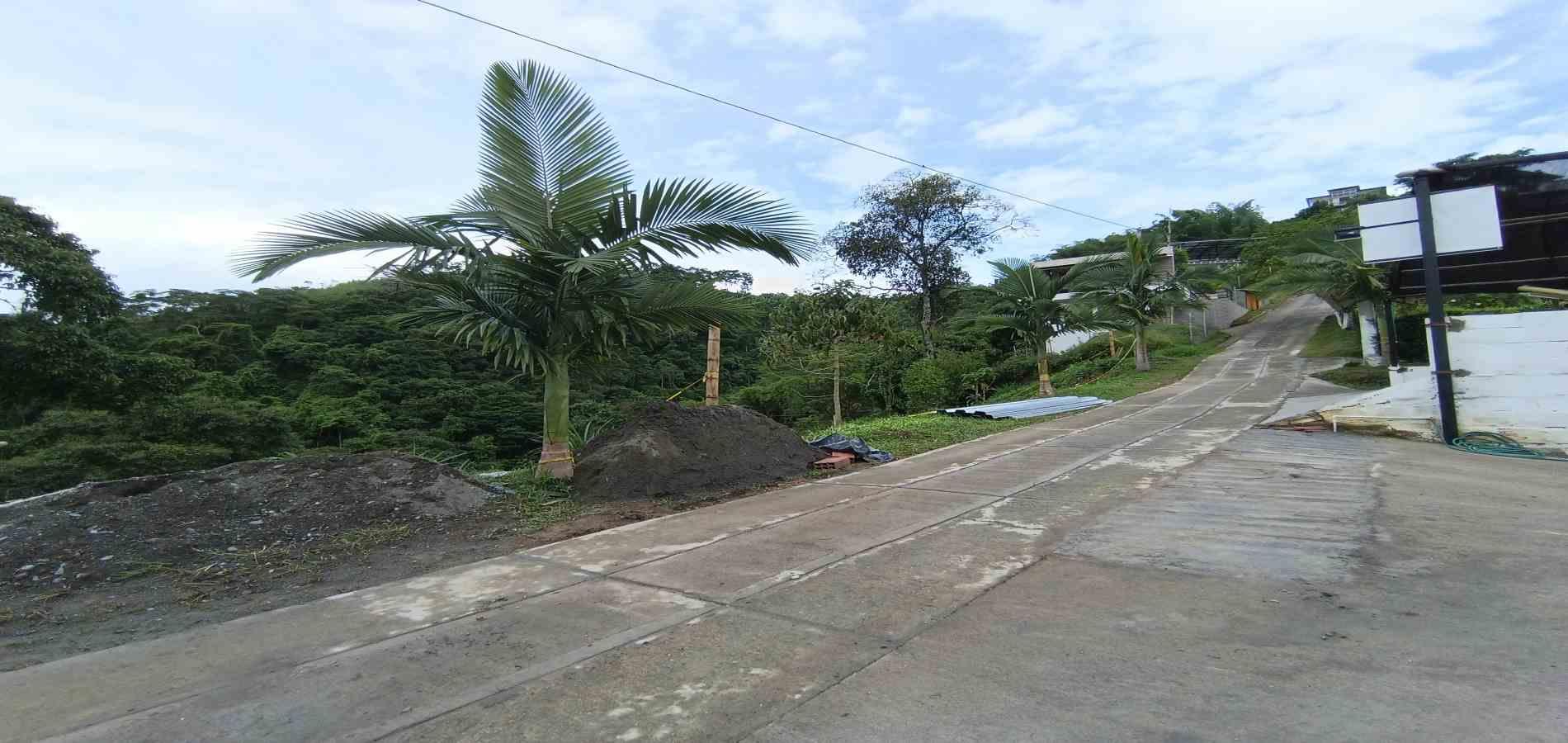 Foto de Lote / terreno en Venta en Vereda minitas , Manizales - 11 - 279068548