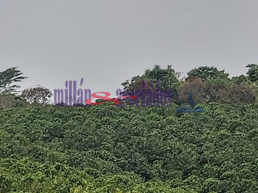 Foto de Finca en Venta en Vereda san luis , Filadelfia - 3 - 279013551