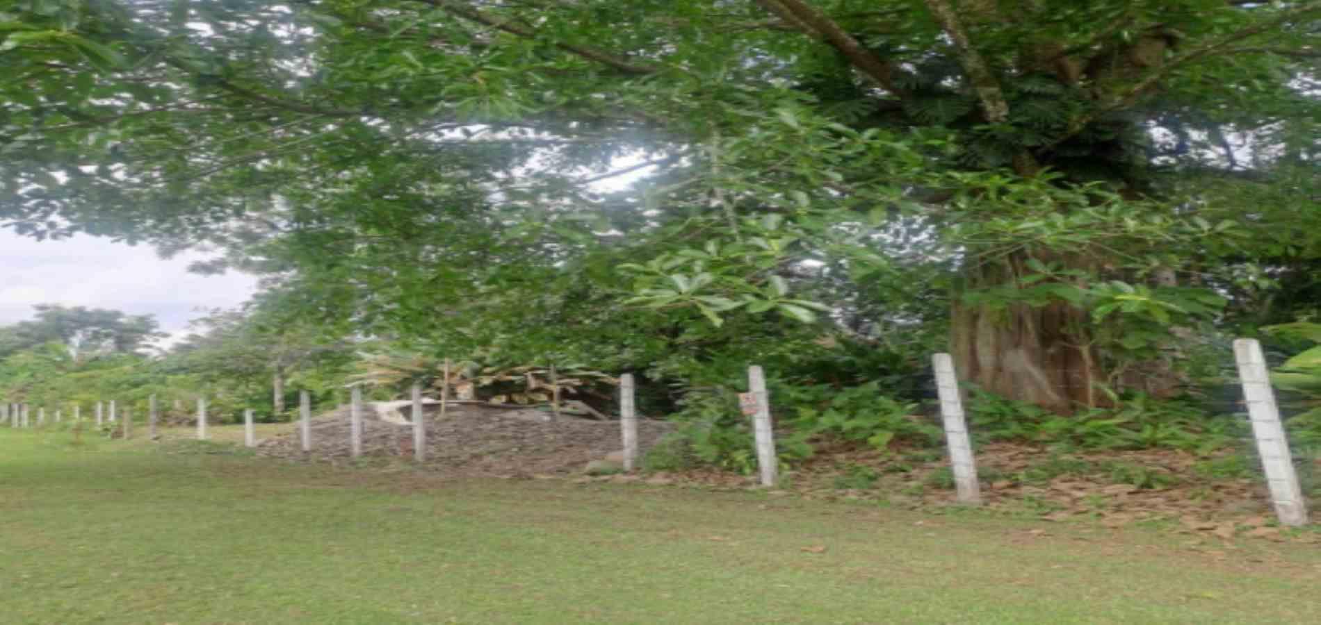 Foto de Lote / terreno en Venta en Las pavas, Manizales - 4 - 279059784