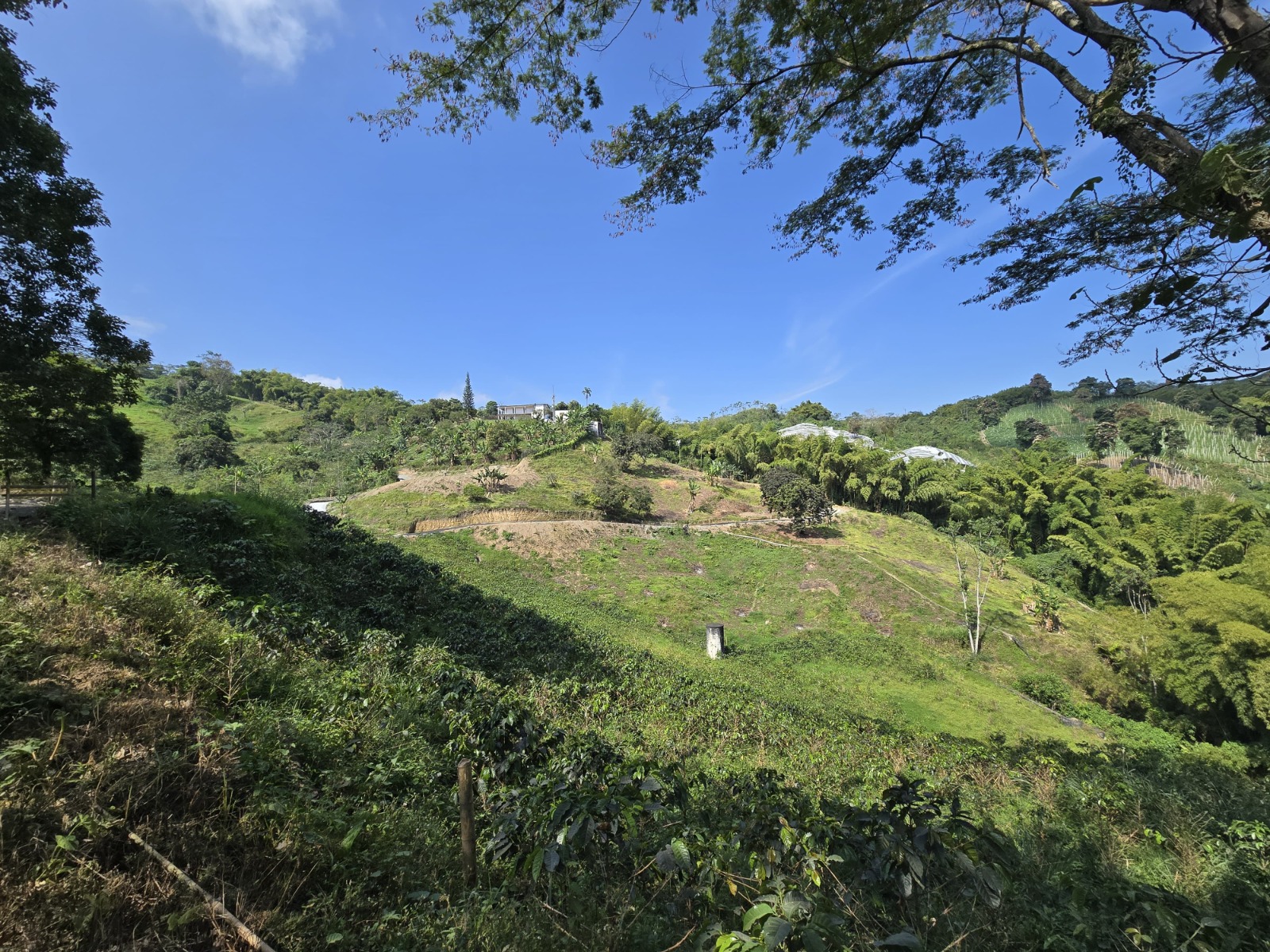Foto de Lote / terreno para Venta en Via antigua palestina, Chinchina - 279063822