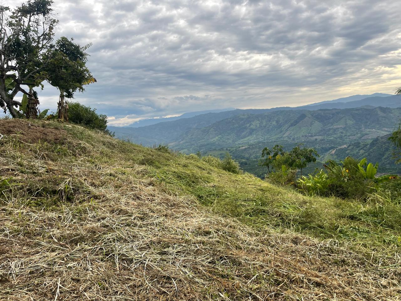 Foto de Finca para Venta en La plata, Palestina - 279070231