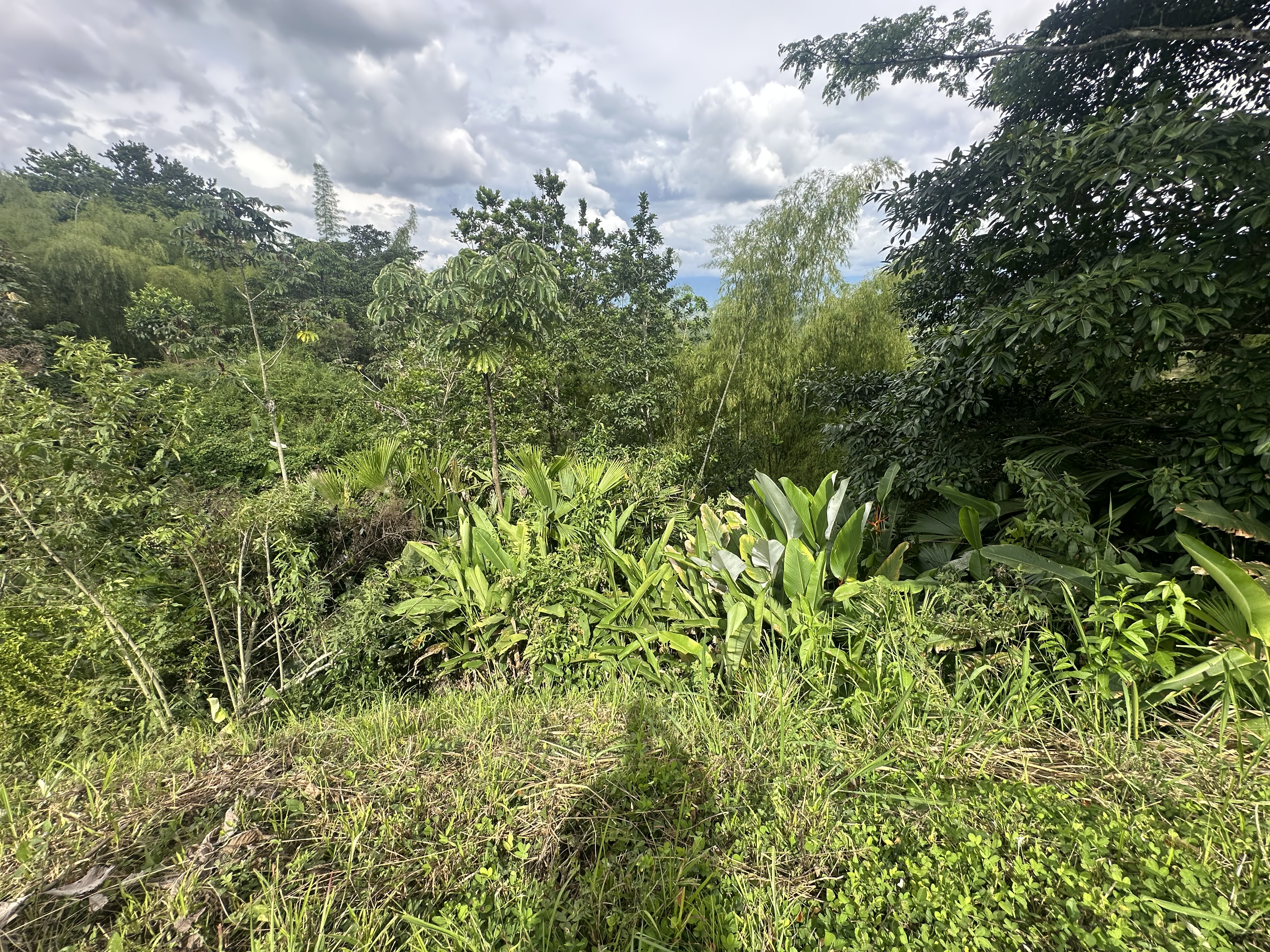 Foto de Lote / terreno en Venta en Via al valle, Armenia  - 6 - 279068482