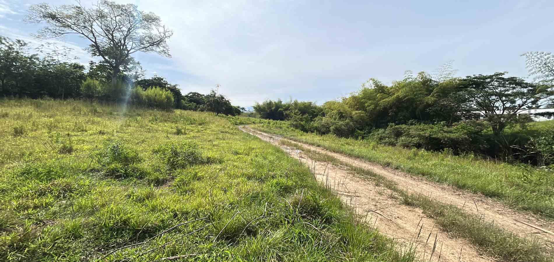 Foto de Lote / terreno en Venta en Cerritos, Pereira - 4 - 279068066