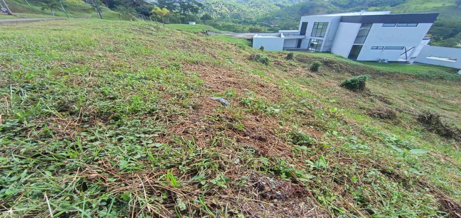 Foto de Lote / terreno en Venta en Autopista del café, Manizales - 4 - 279064930