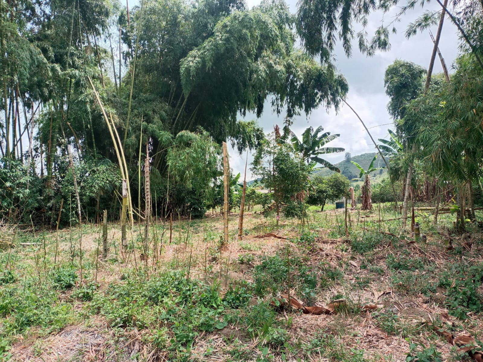 Foto de Lote / terreno en Venta en Santa rosa de cabal, Santa rosa de cabal - 9 - 279059203