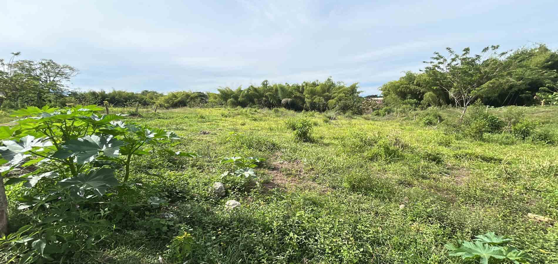 Foto de Lote / terreno en Venta en Cerritos, Pereira - 6 - 279068090