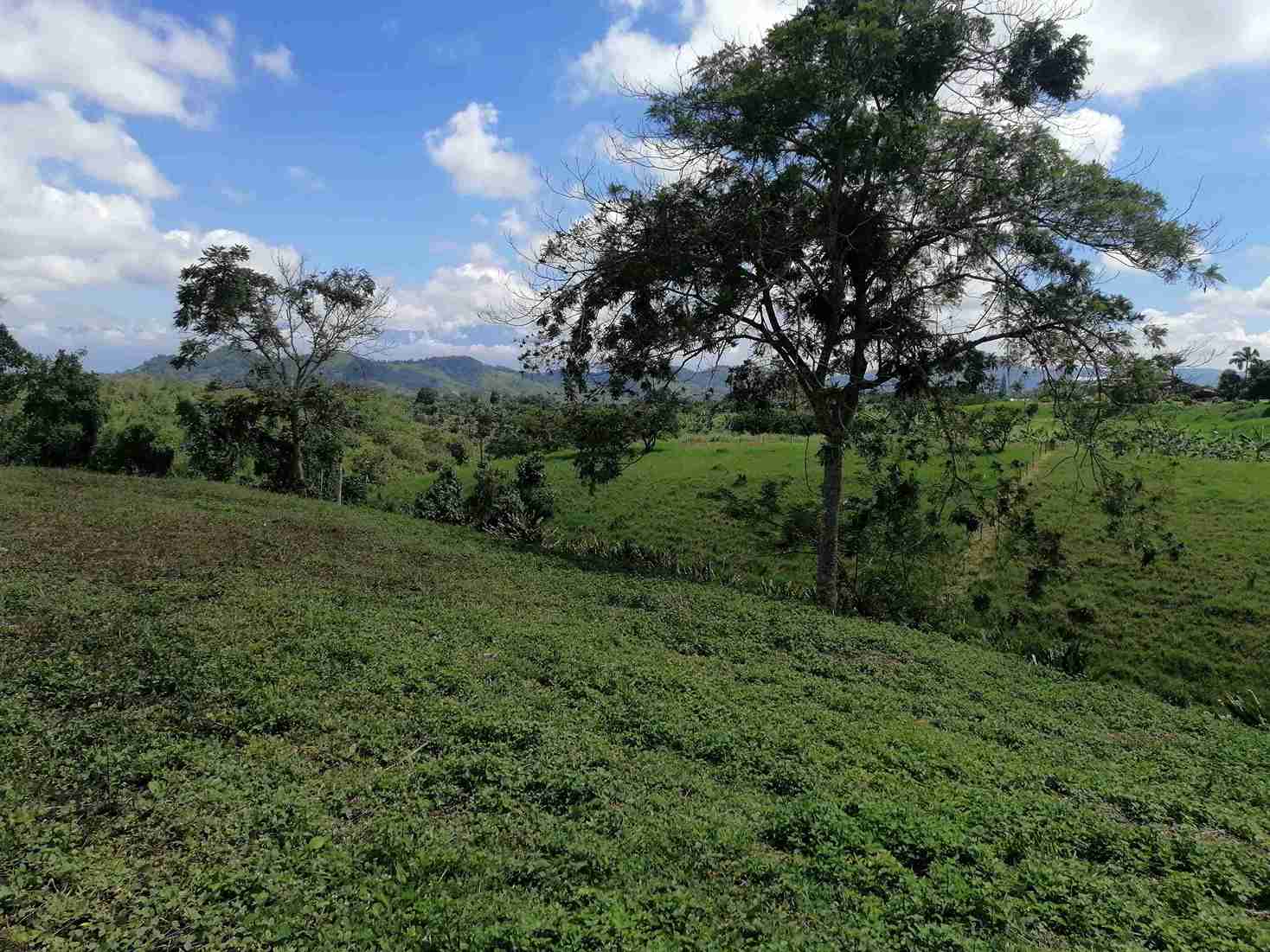 Foto de Lote / terreno en Venta en Combia, Pereira - 10 - 279058096