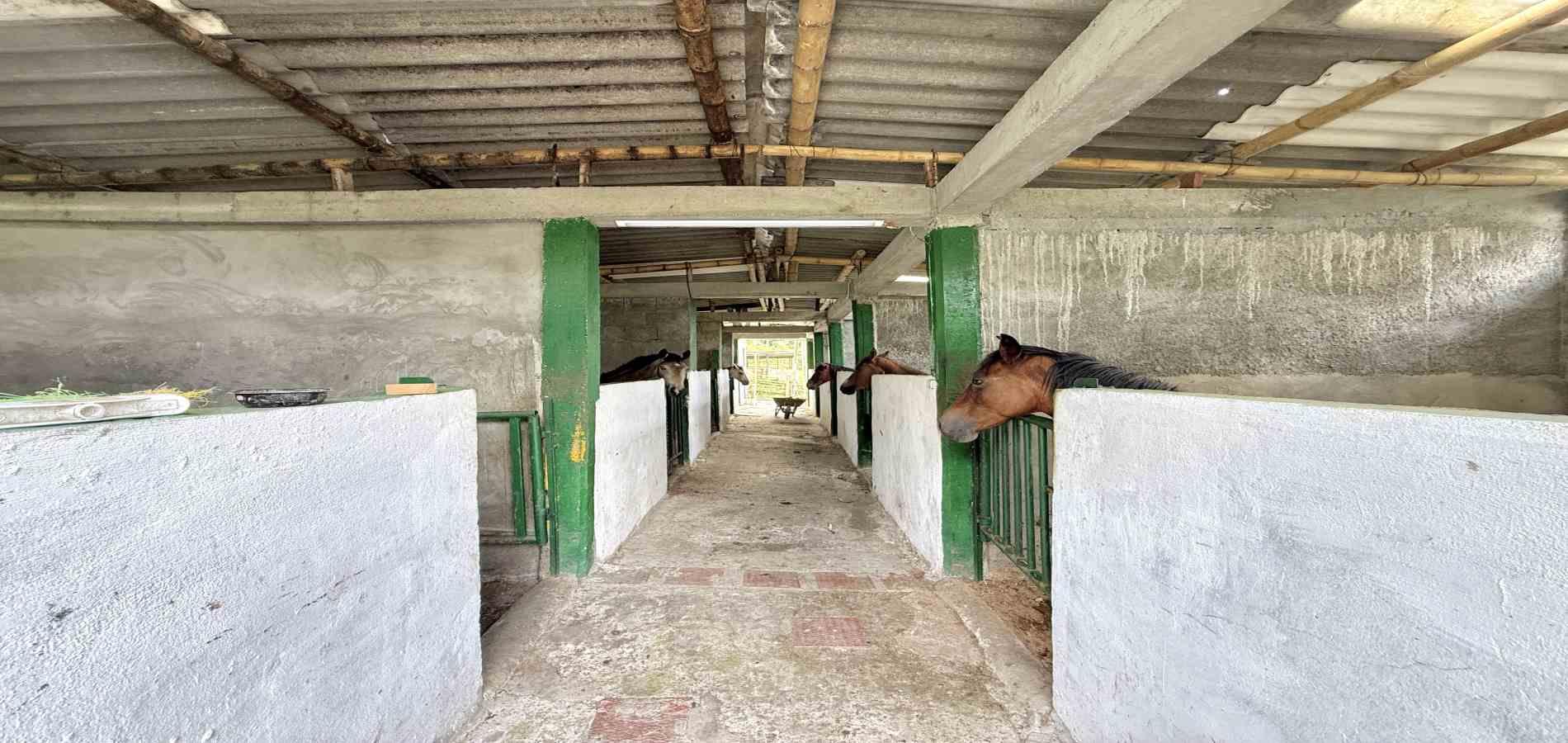 Foto de Finca en Venta en Agua azul, Dosquebradas - 4 - 279063271