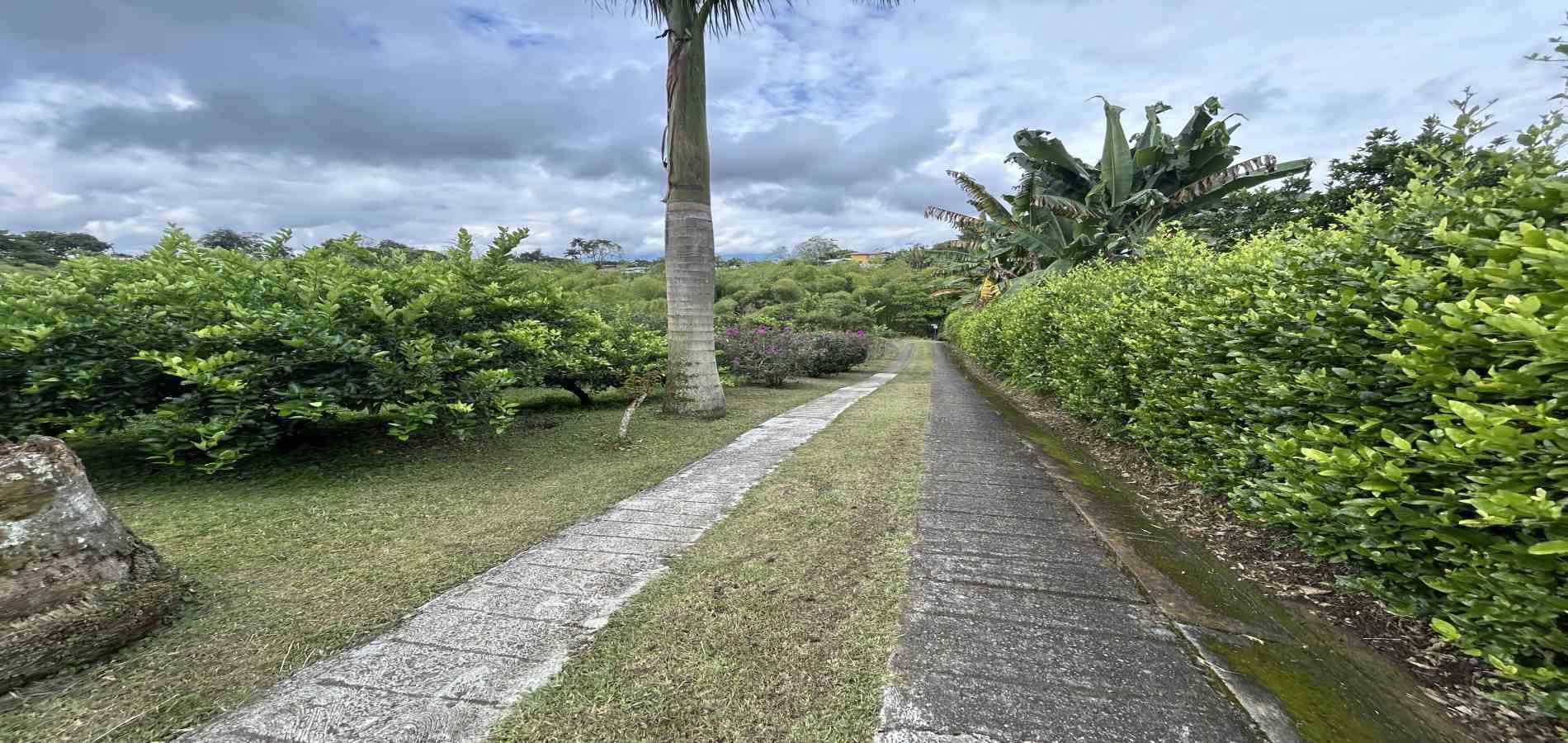 Foto de Finca en Venta en Morelia, Pereira - 3 - 279067012