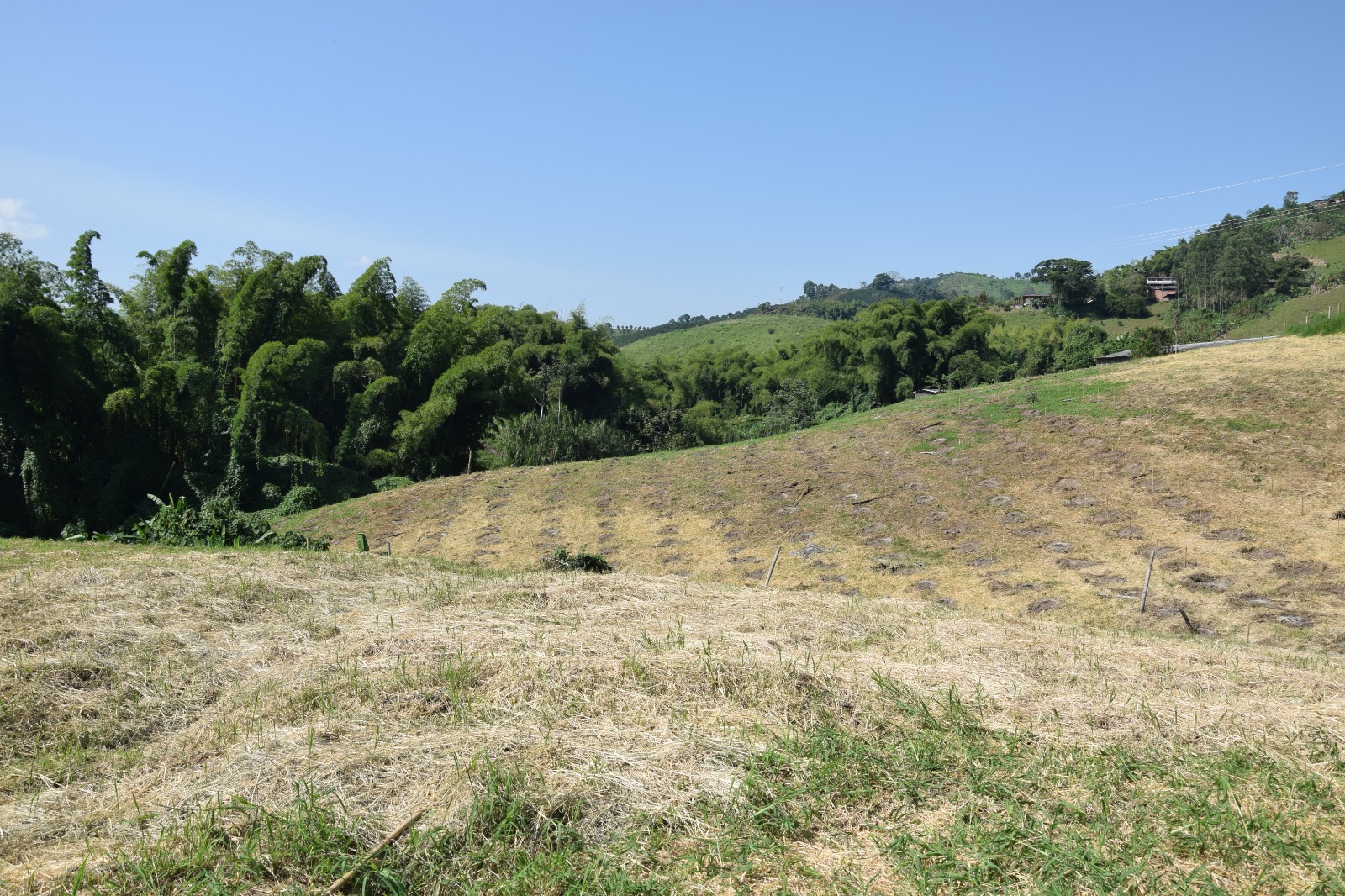 Foto de Finca en Venta en La cabaña, Manizales - 9 - 279058352