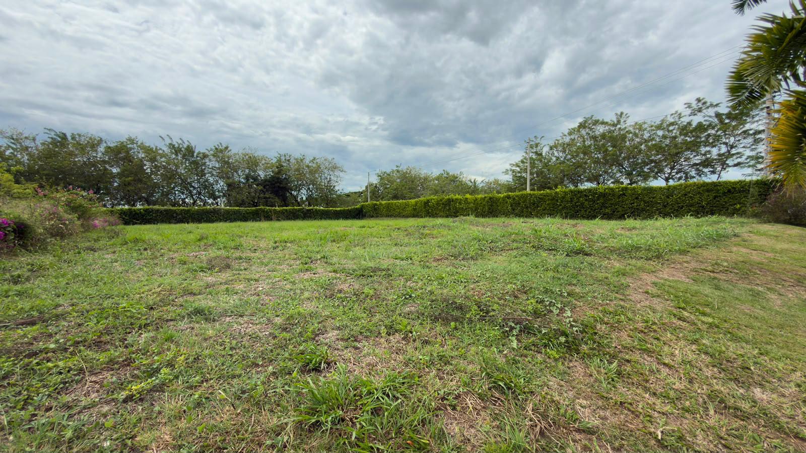 Foto de Lote / terreno para Venta en Centro, Pereira - 279069765