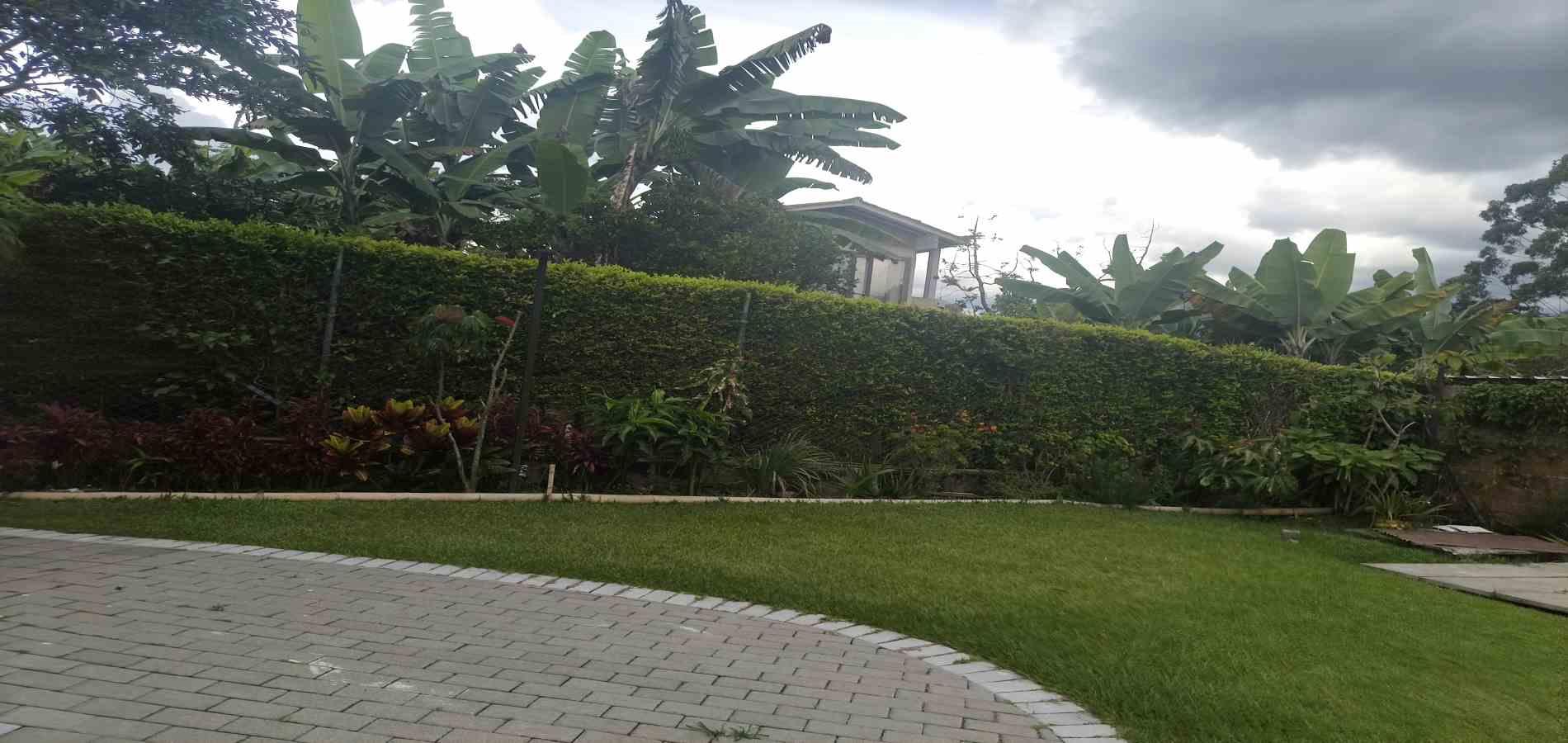 Foto de Casa en Arriendo en Centenario, Armenia  - 30 - 279068069