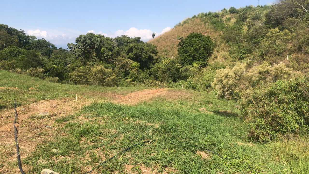 Foto de Lote / terreno en Venta en Centro, Pereira - 9 - 279055598