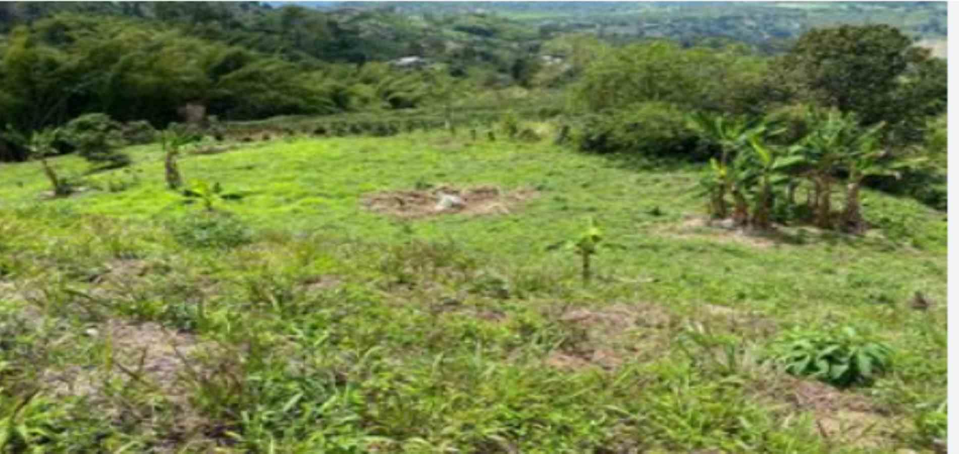 Foto de Lote / terreno en Venta en La plata, Palestina - 4 - 279054346