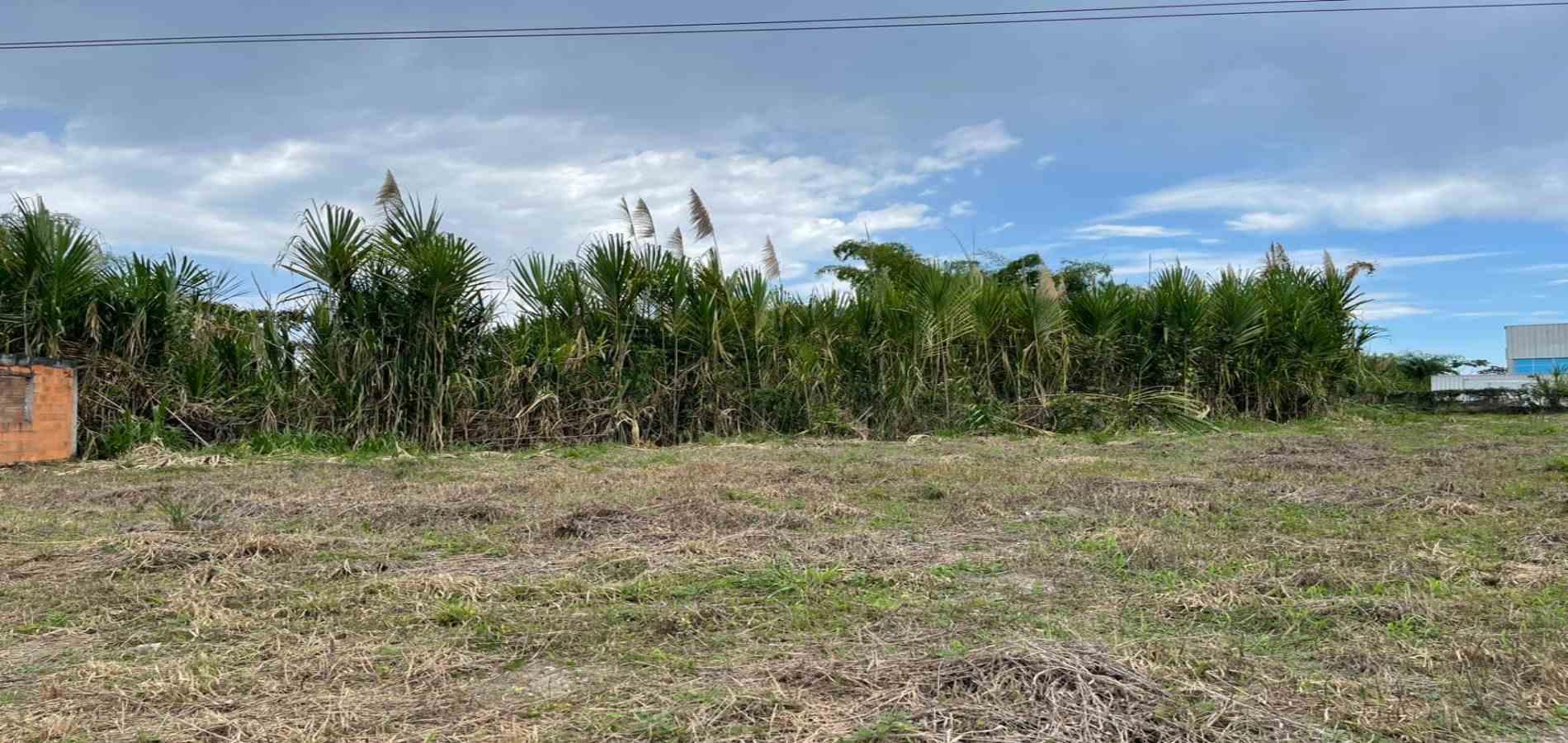 Foto de Lote / terreno en Venta en Av. la romelia el pollo, Dosquebradas - 5 - 279060887