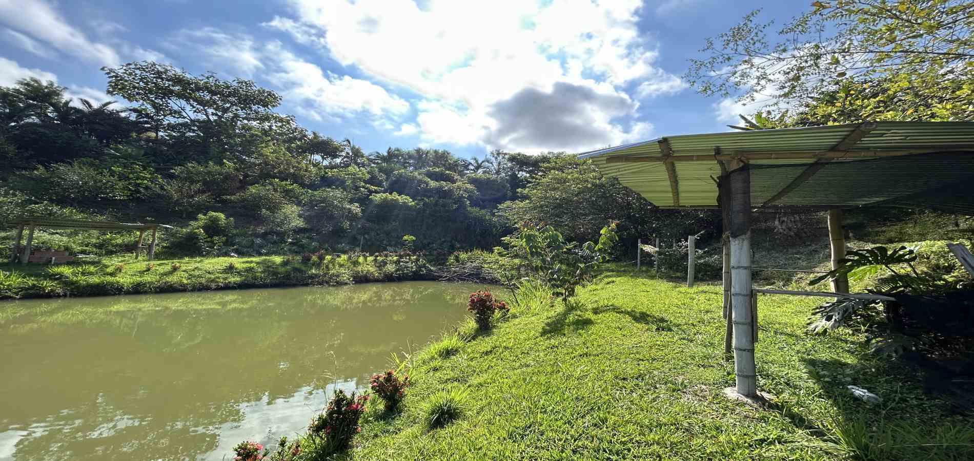 Foto de Lote / terreno en Venta en Cerritos, Pereira - 7 - 279068246