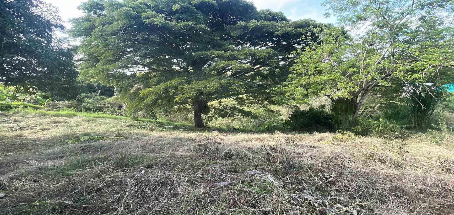 Foto de Lote / terreno en Venta en Via alcala, Pereira - 6 - 279066755