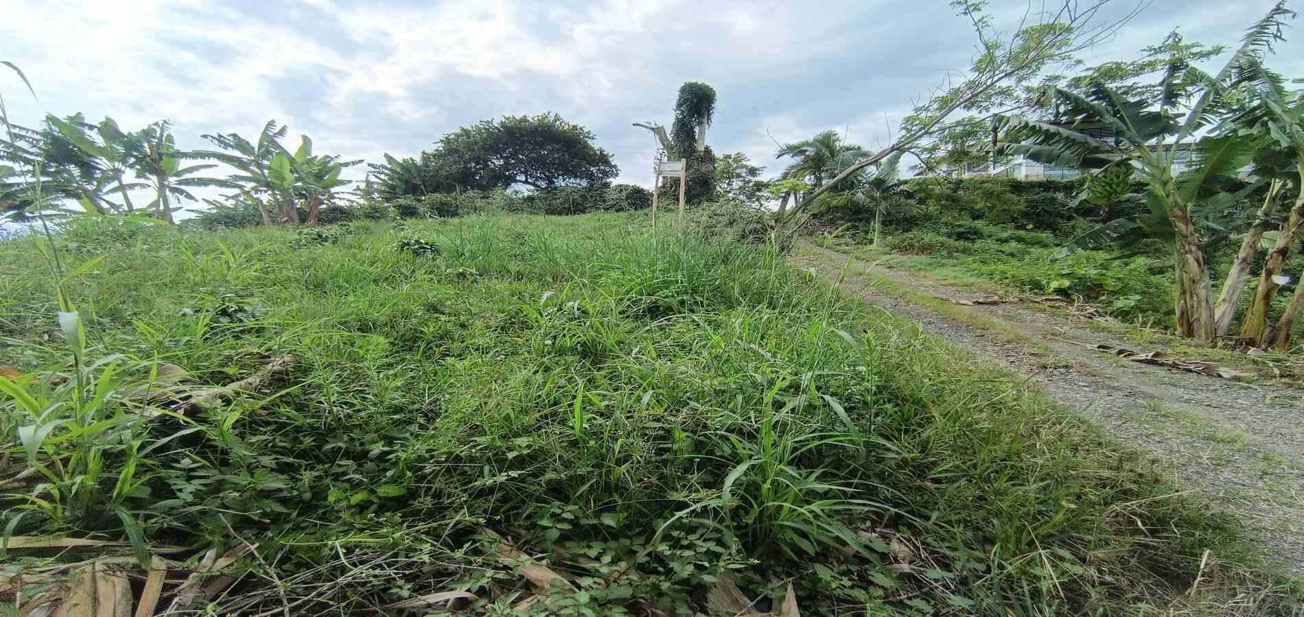 Foto de Lote / terreno en Venta en San peregrino, Manizales - 24 - 279068552