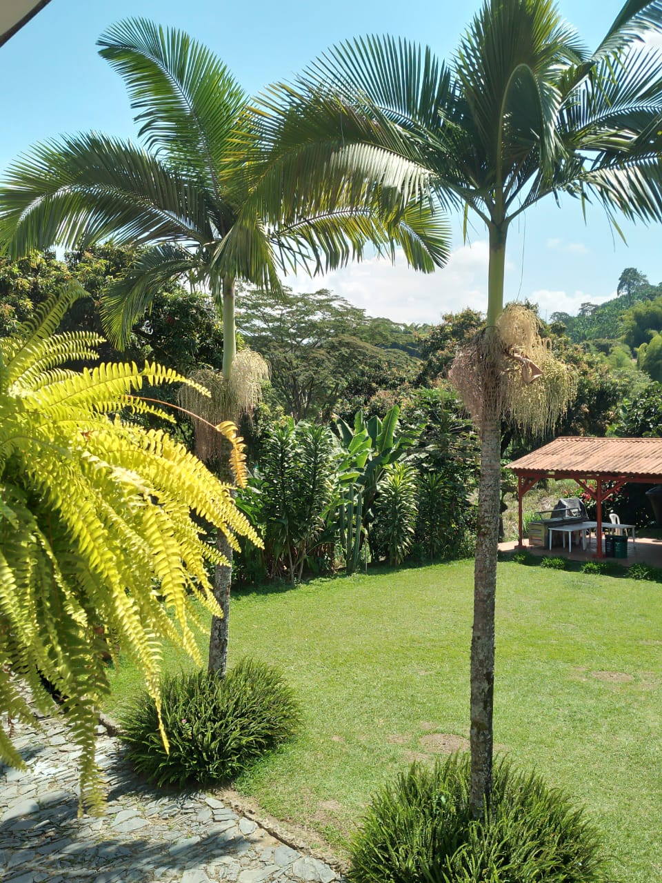 Foto de Finca en Venta en La cabaña, Manizales - 9 - 279054226