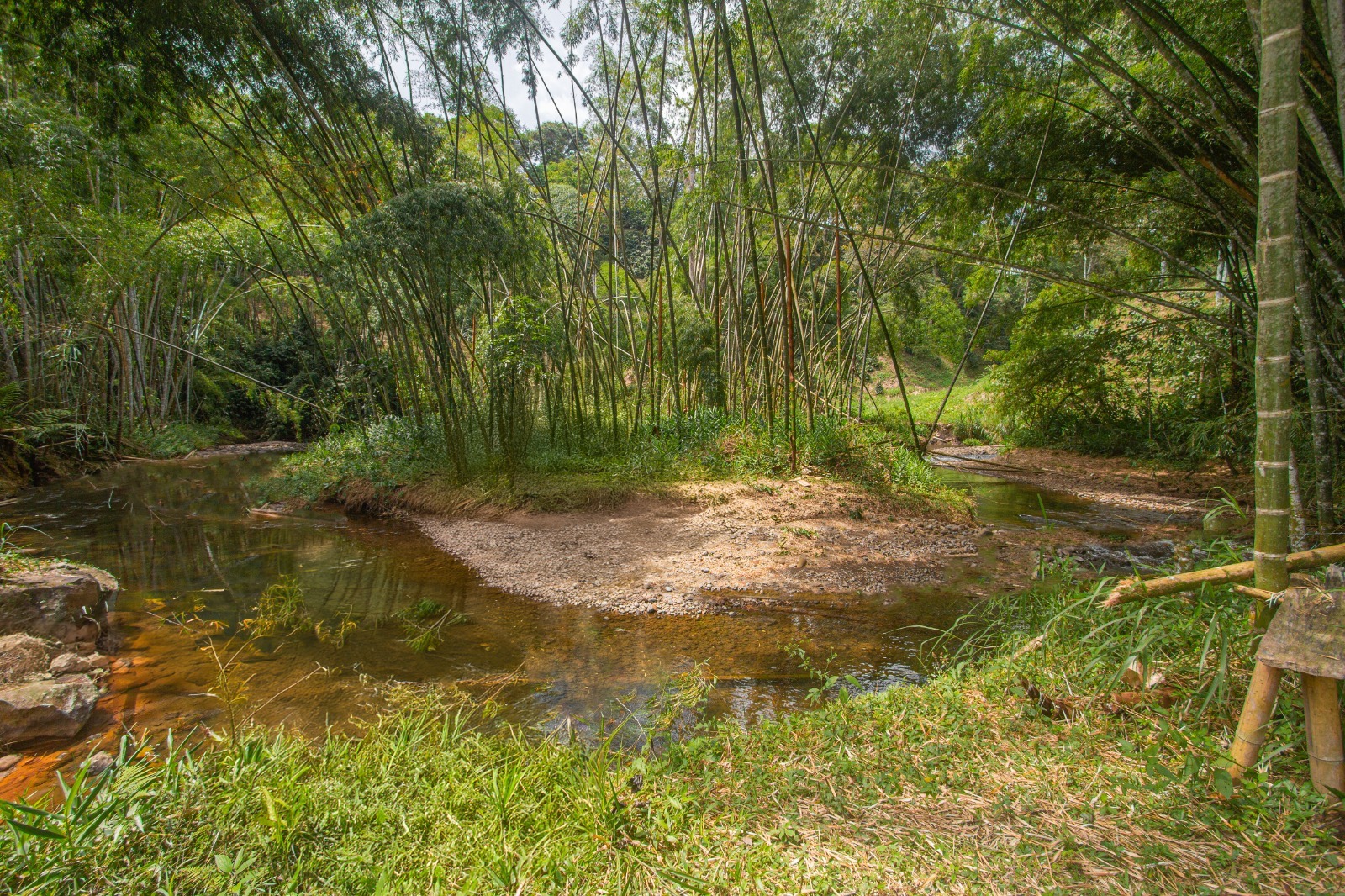 Foto de Lote / terreno en Venta en Morelia, Pereira - 10 - 279063960
