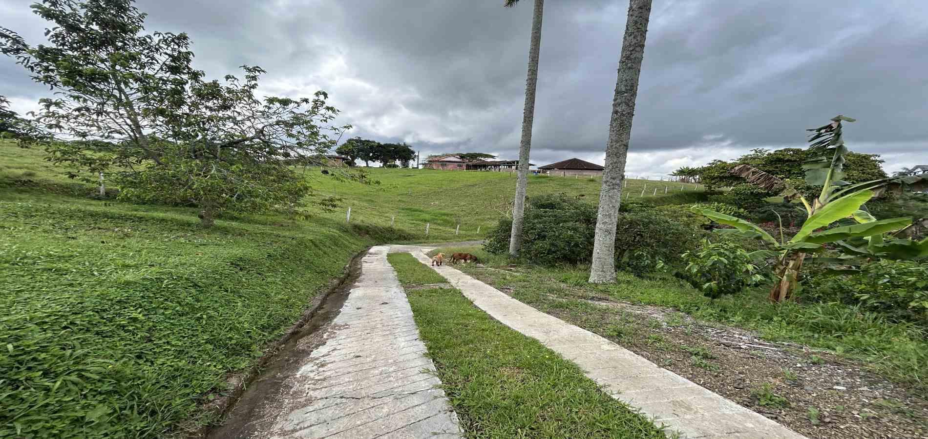 Foto de Finca en Venta en Morelia, Pereira - 7 - 279067012