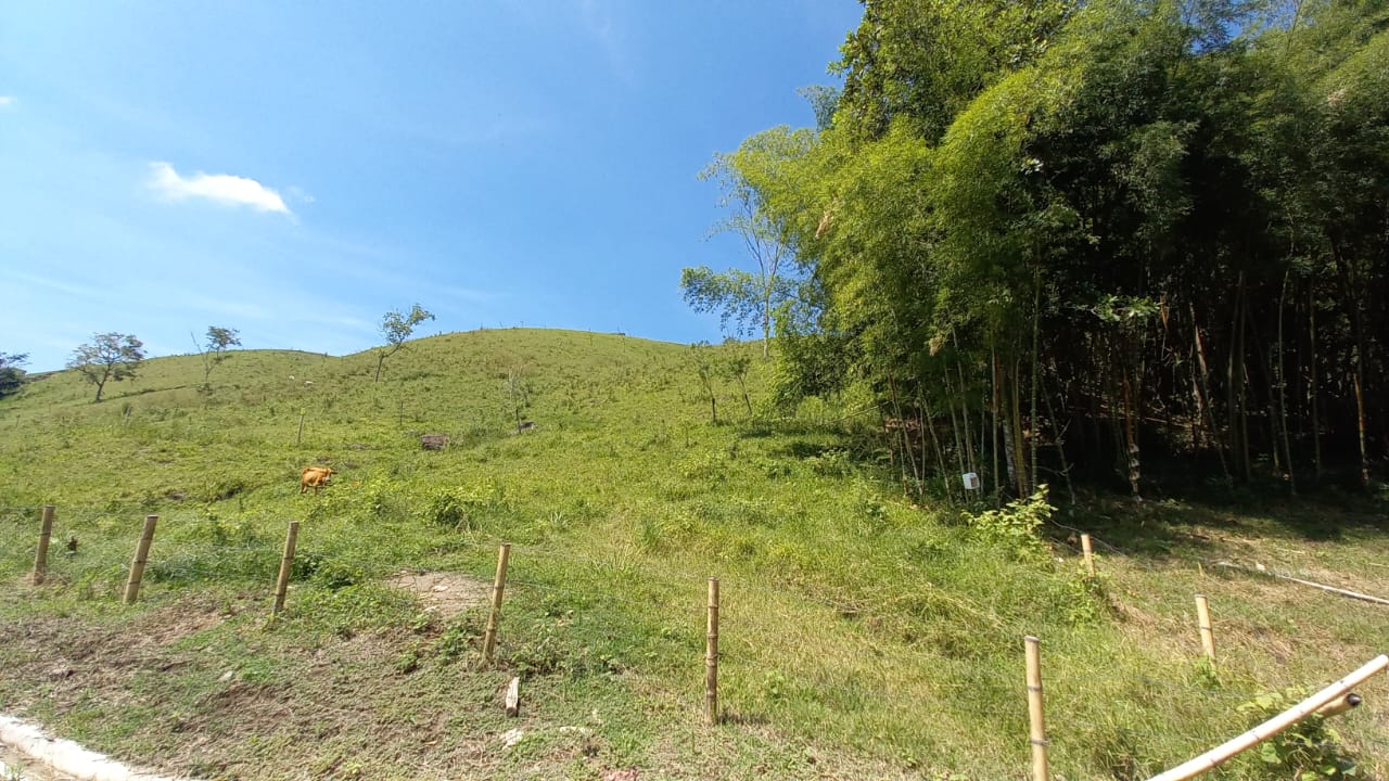 Foto de Lote / terreno en Venta en Vereda santagueda, Palestina - 9 - 279058796