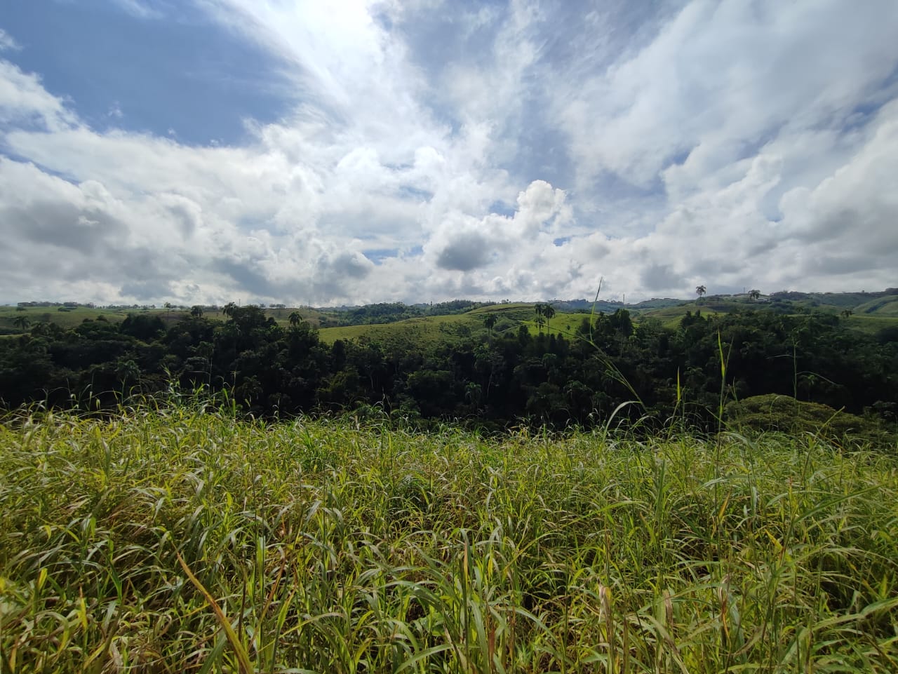 Foto de Lote / terreno en Venta en Centro, Pereira - 8 - 279063218