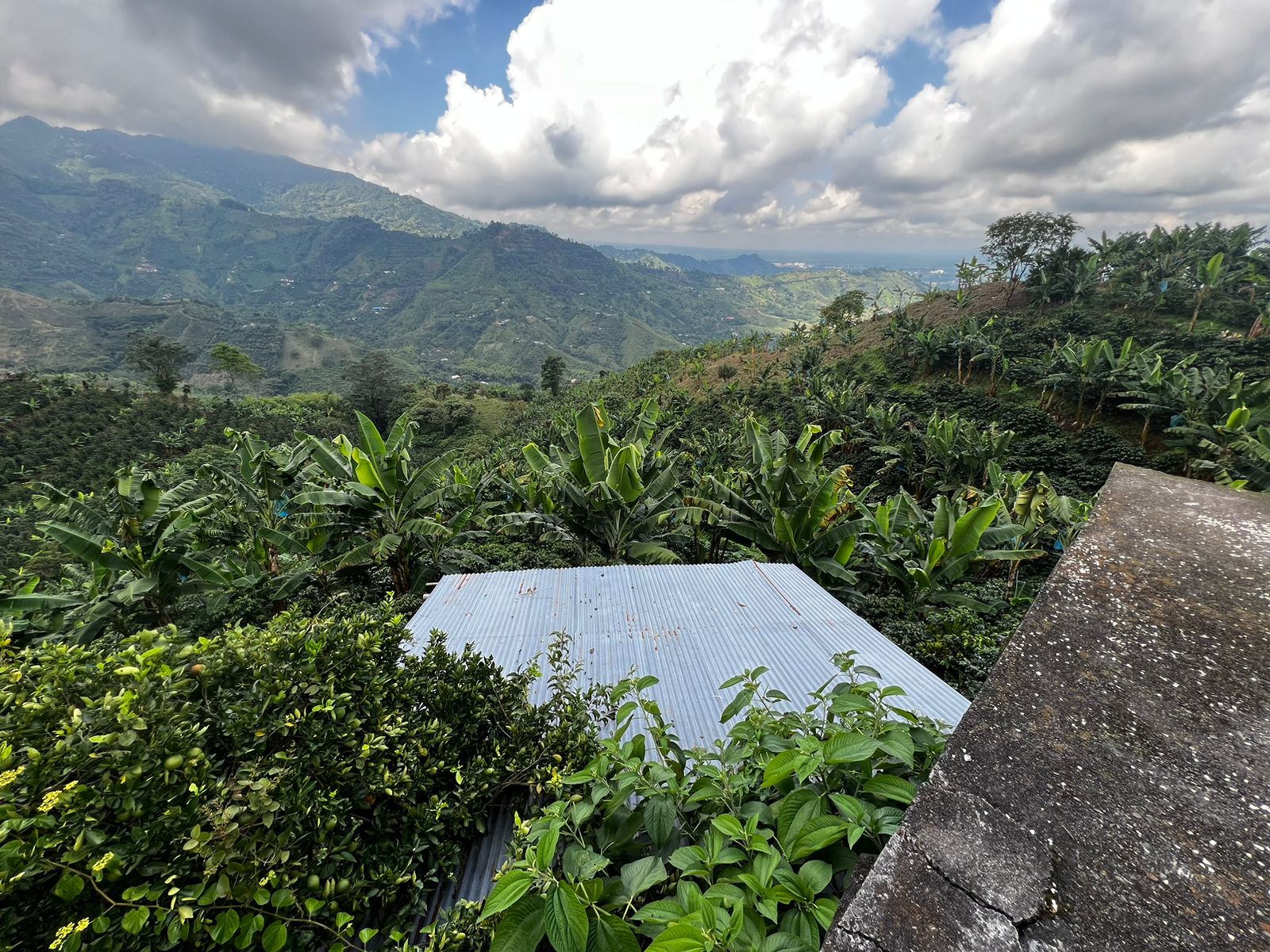 Foto de Finca en Venta en San vicente, Pereira - 8 - 279057869