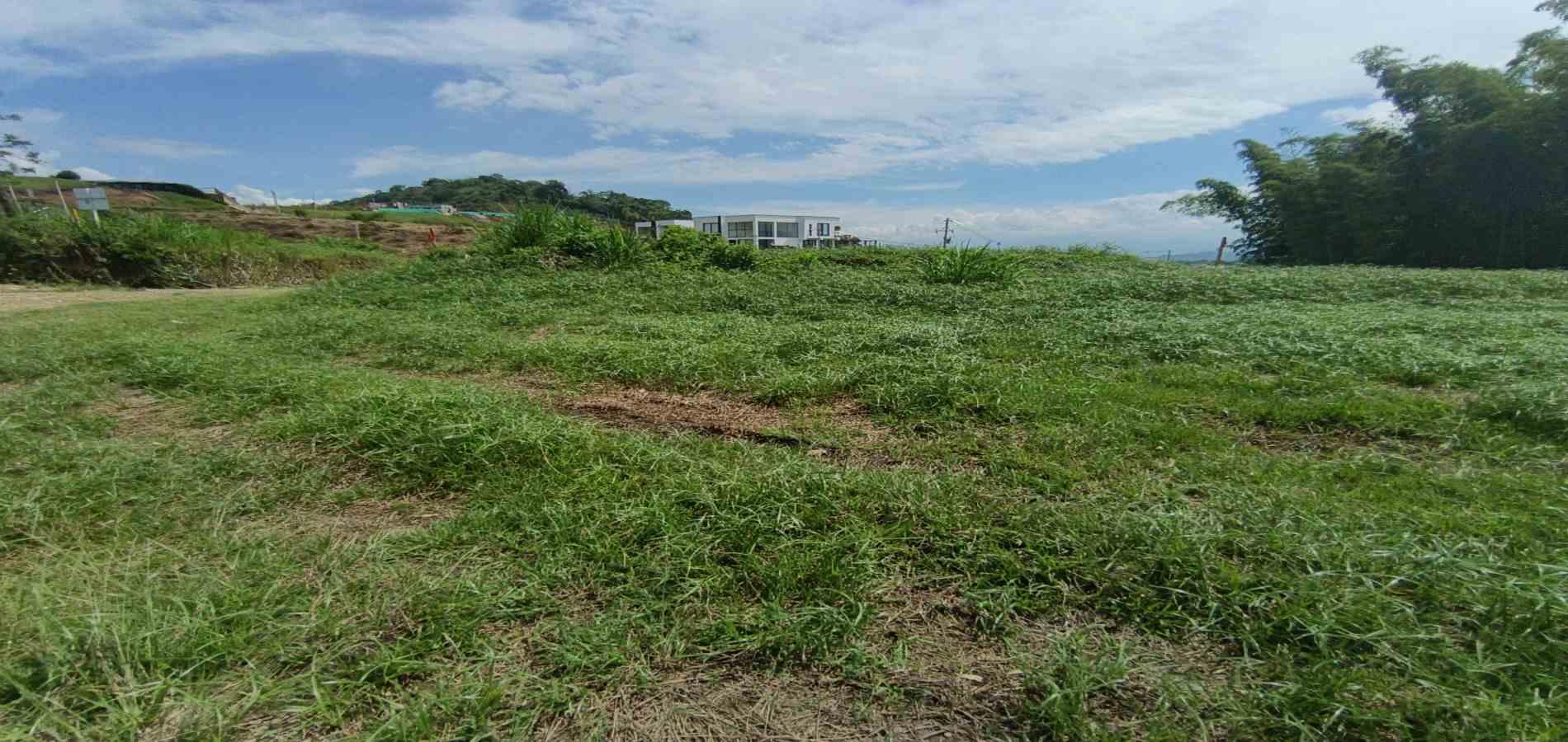 Foto de Lote / terreno en Venta en Vereda santagueda, Palestina - 14 - 279064609