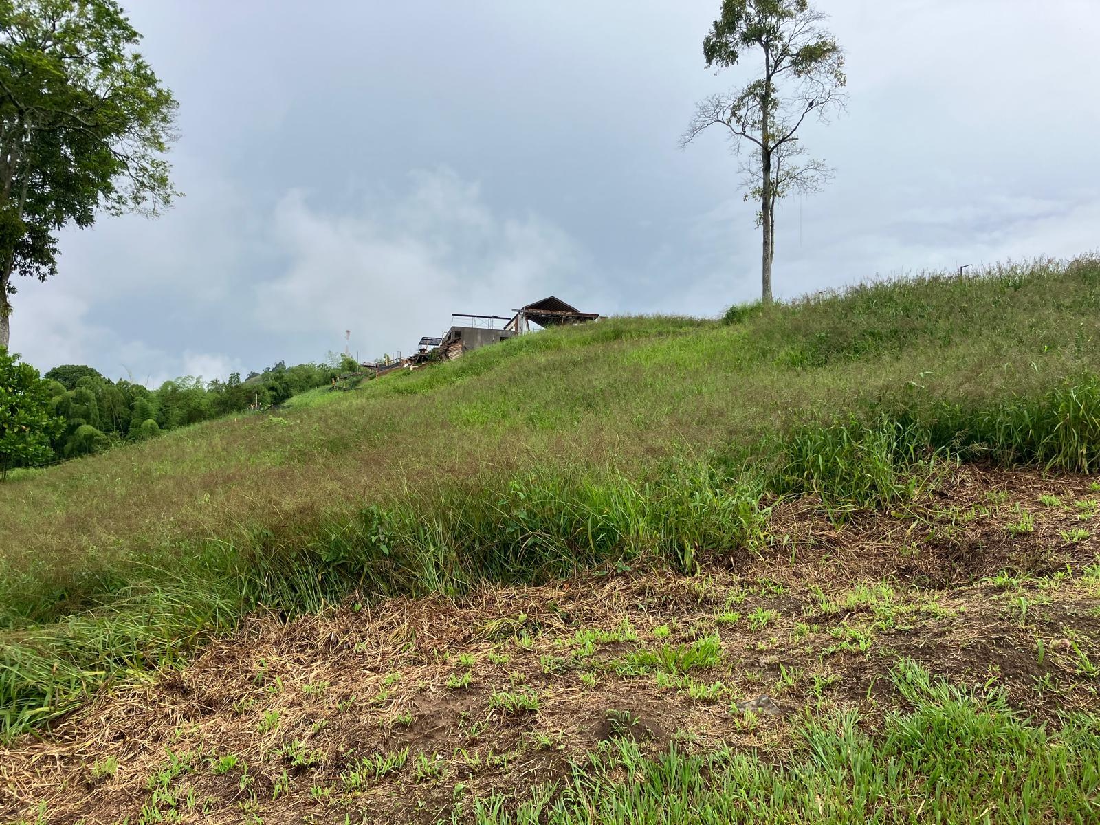 Foto de Lote / terreno para Venta en Autopista del café, Manizales - 279058761