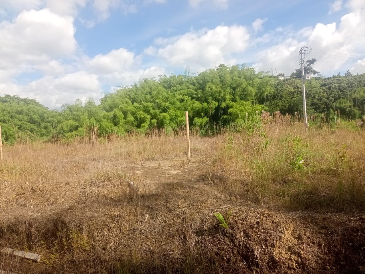 Foto de Lote / terreno en Venta en Via armenia, Pereira - 12 - 279052343