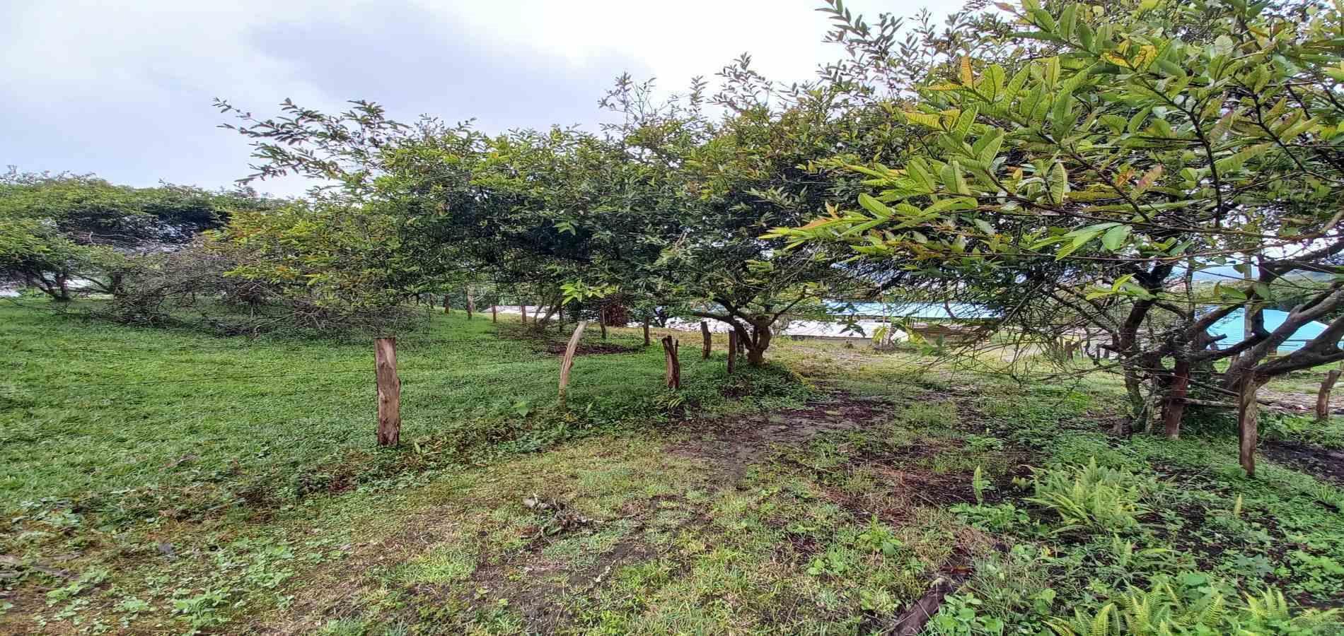 Foto de Lote / terreno en Venta en Veracruz, Santa rosa de cabal - 14 - 279066398