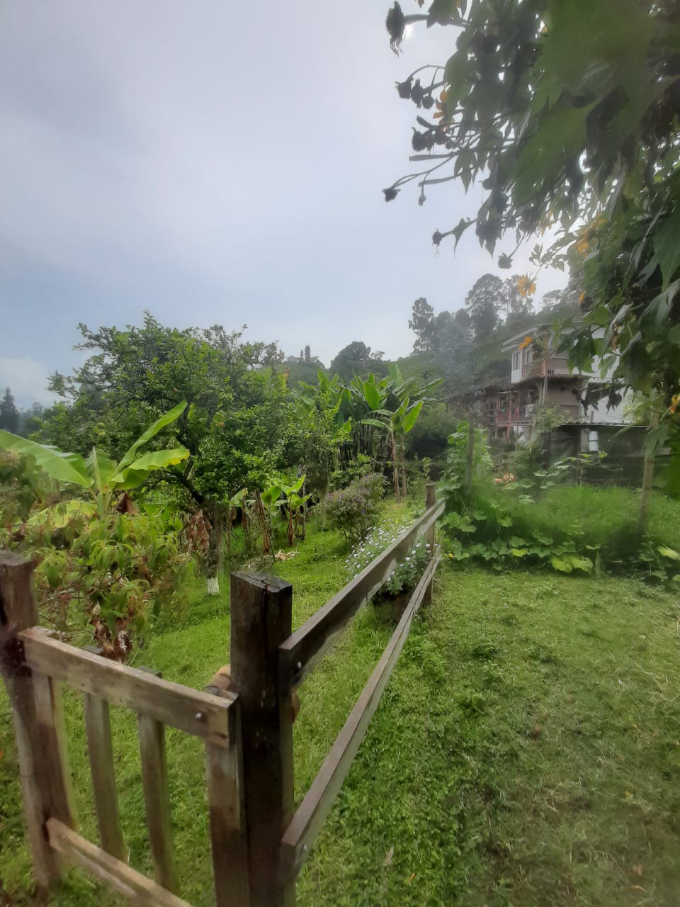 Foto de Finca en Venta en Alto castillo, Villamaria - 16 - 279061533