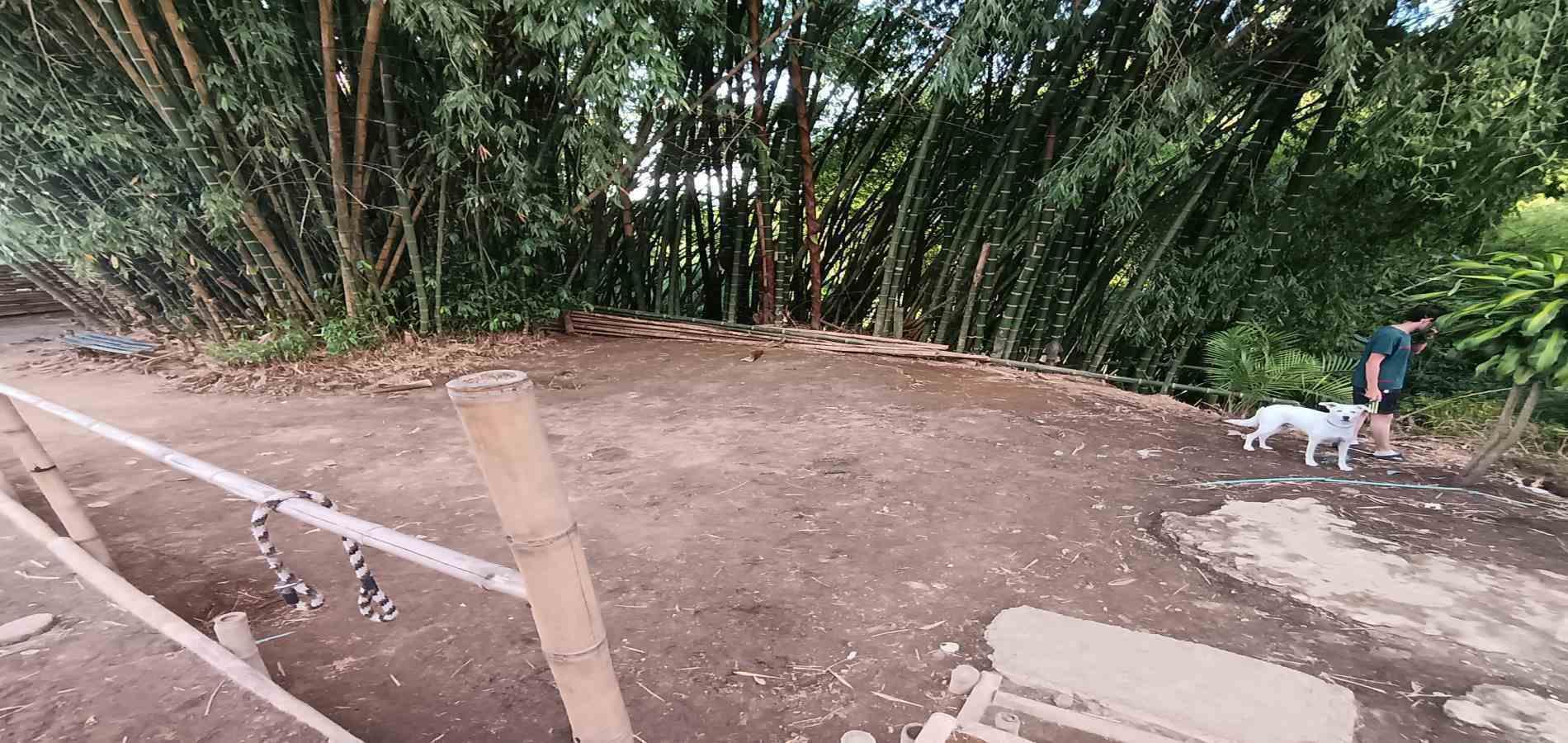 Foto de Edificio en Arriendo en Centro, Armenia  - 7 - 279064128