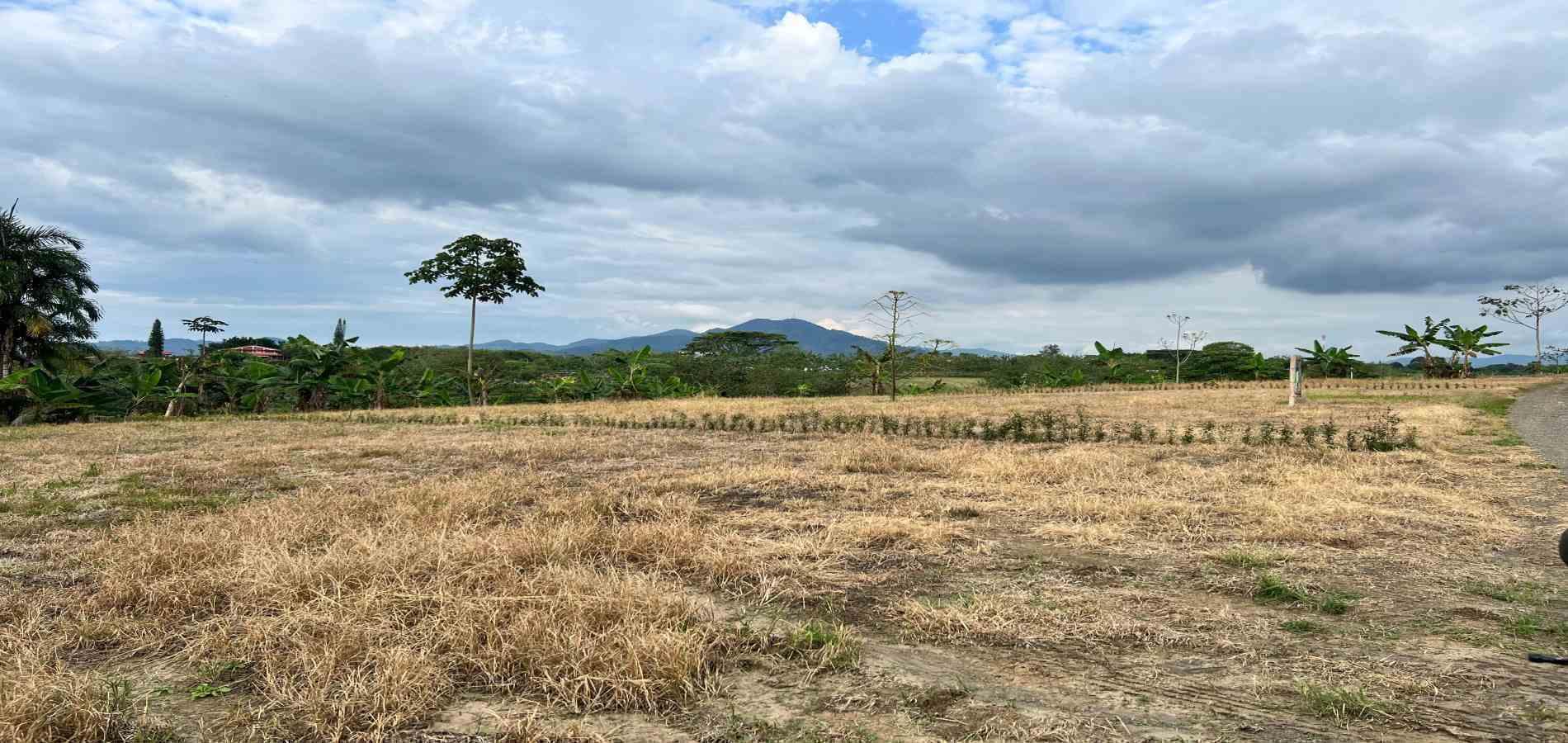 Foto de Lote / terreno en Venta en Armenia, Armenia  - 6 - 279067125