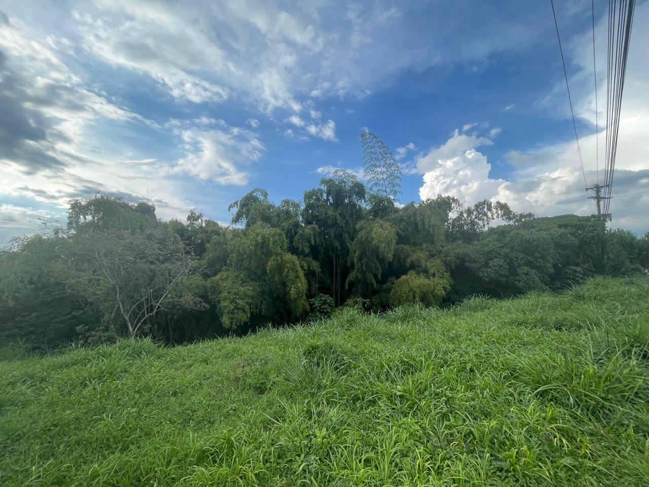 Foto de Lote / terreno en Venta en Avenida centenario, Armenia  - 12 - 279063188