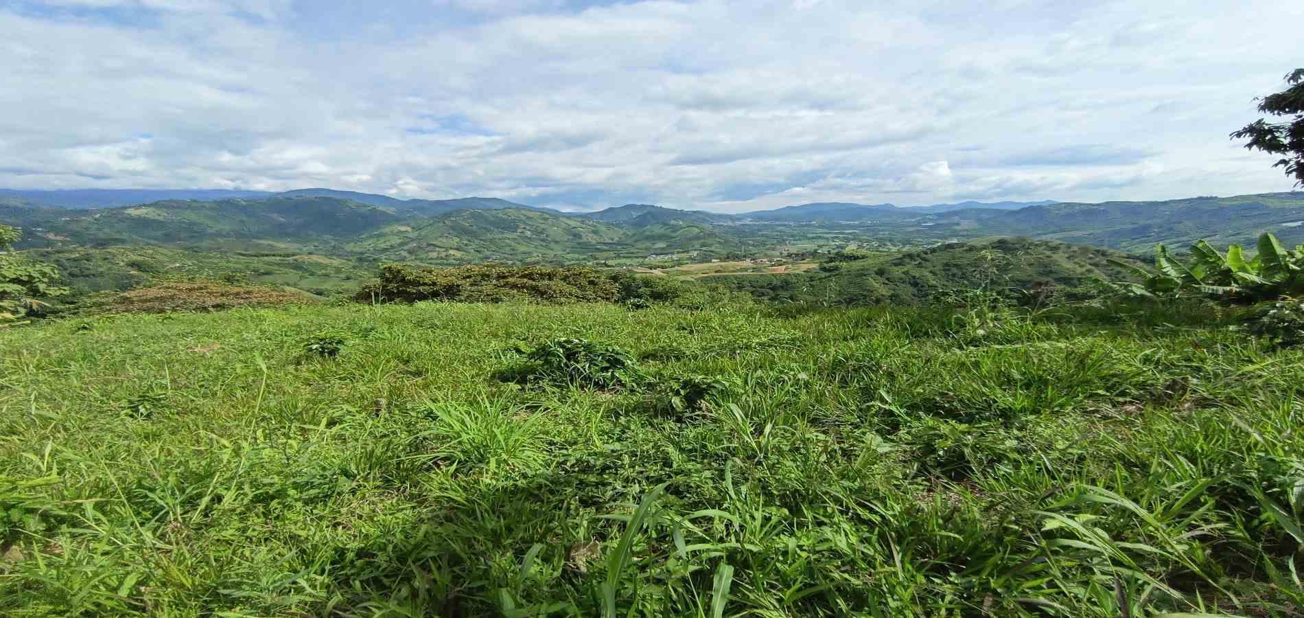 Foto de Lote / terreno en Venta en San peregrino, Manizales - 1 - 279068552