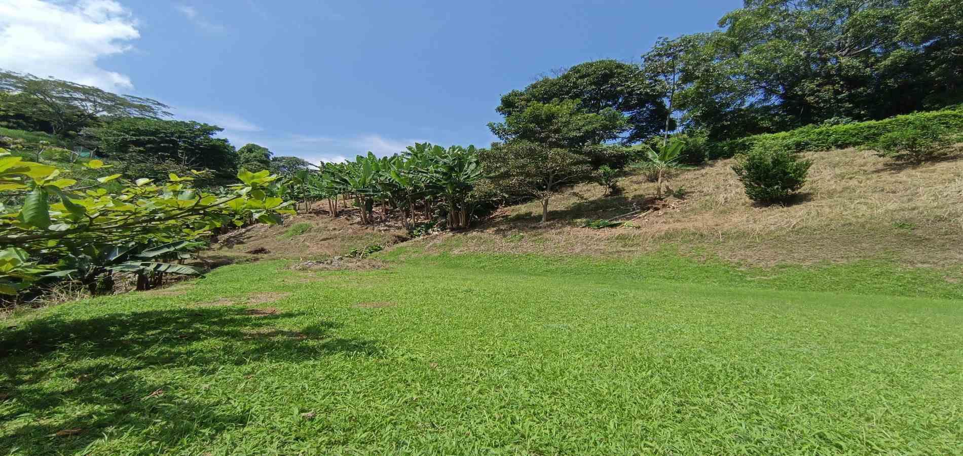 Foto de Lote / terreno en Venta en La plata, Palestina - 18 - 279067174