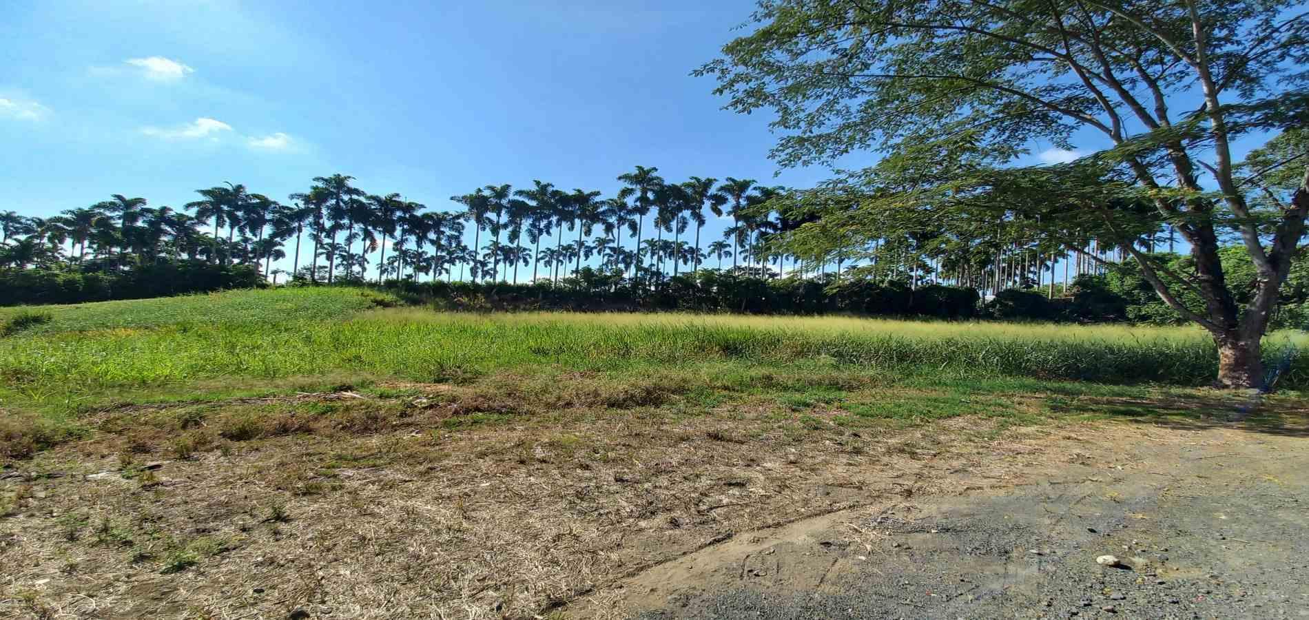 Foto de Lote / terreno en Venta en Cerritos, Pereira - 4 - 279069860