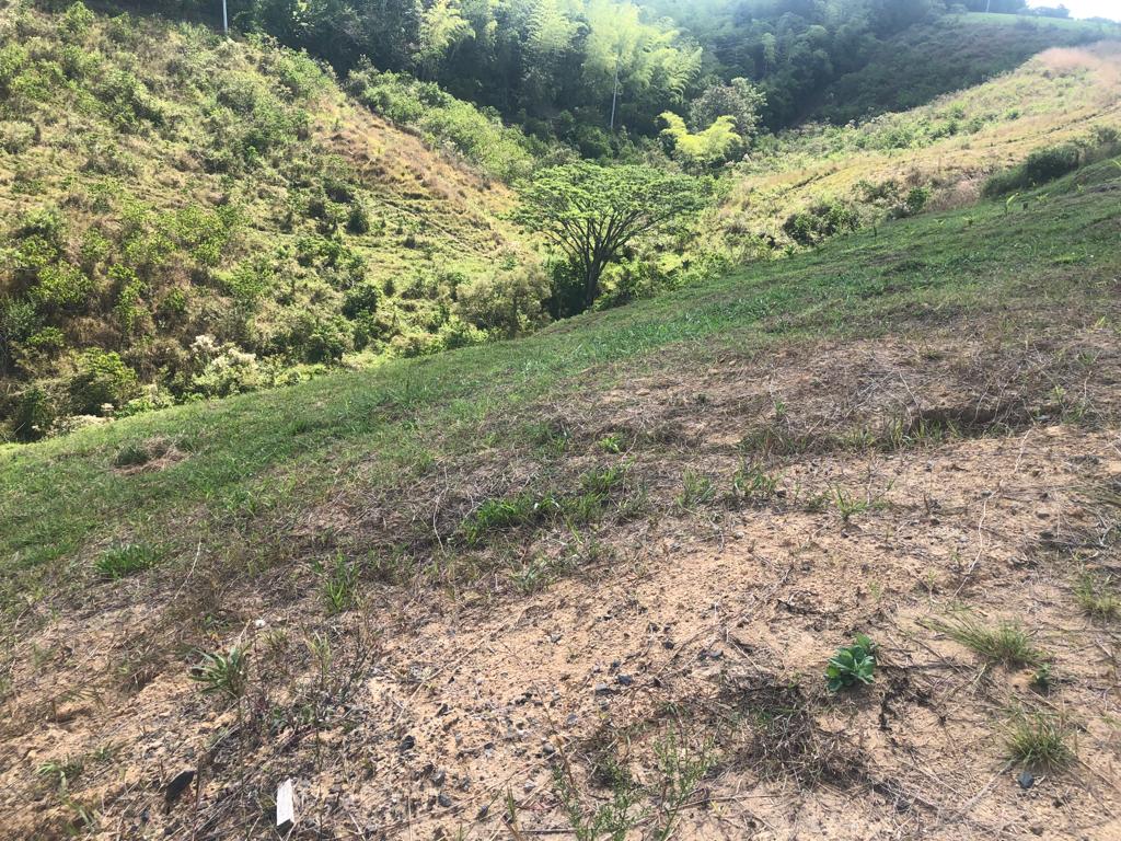 Foto de Lote / terreno en Venta en Cerritos, Pereira - 3 - 2790555100