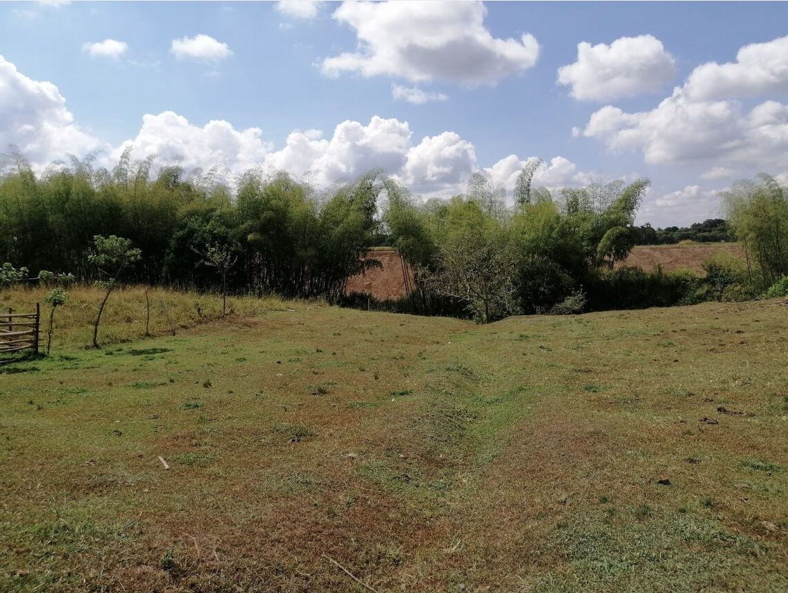 Foto de Lote / terreno en Venta en Cerritos, Pereira - 2 - 2791024501