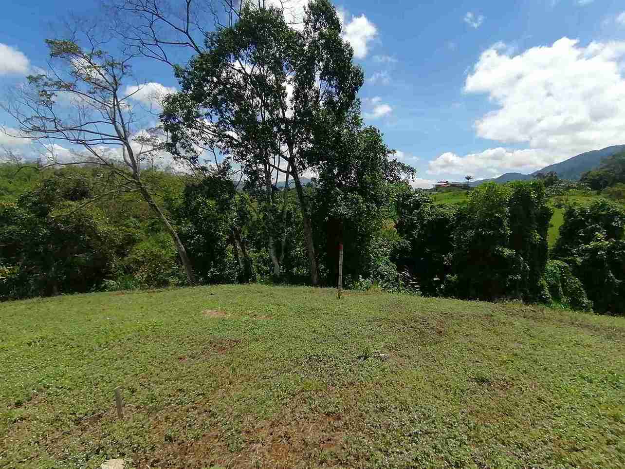 Foto de Lote / terreno en Venta en Combia, Pereira - 3 - 279060927