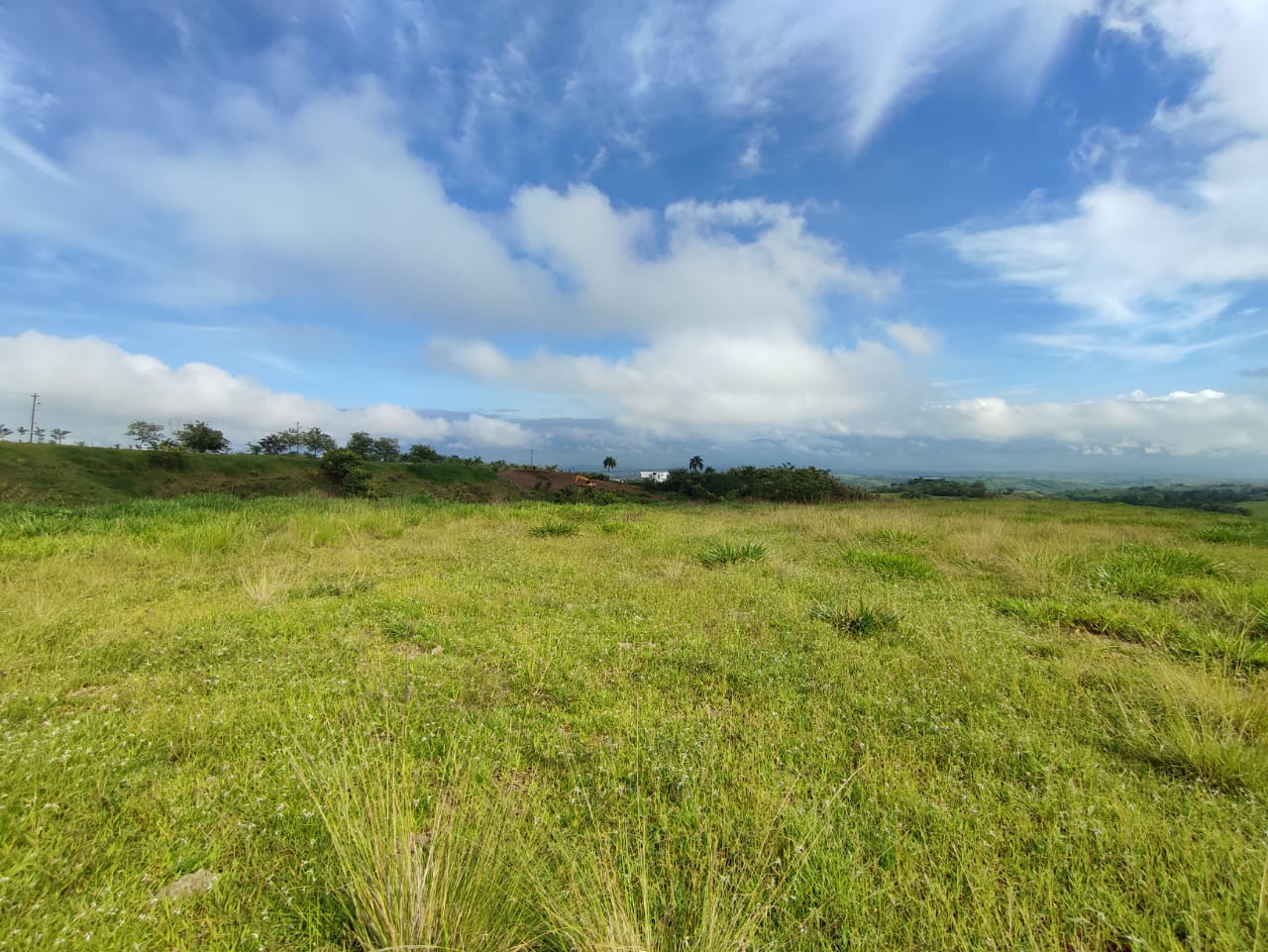 Foto de Lote / terreno en Venta en Cerritos, Pereira - 6 - 279063190