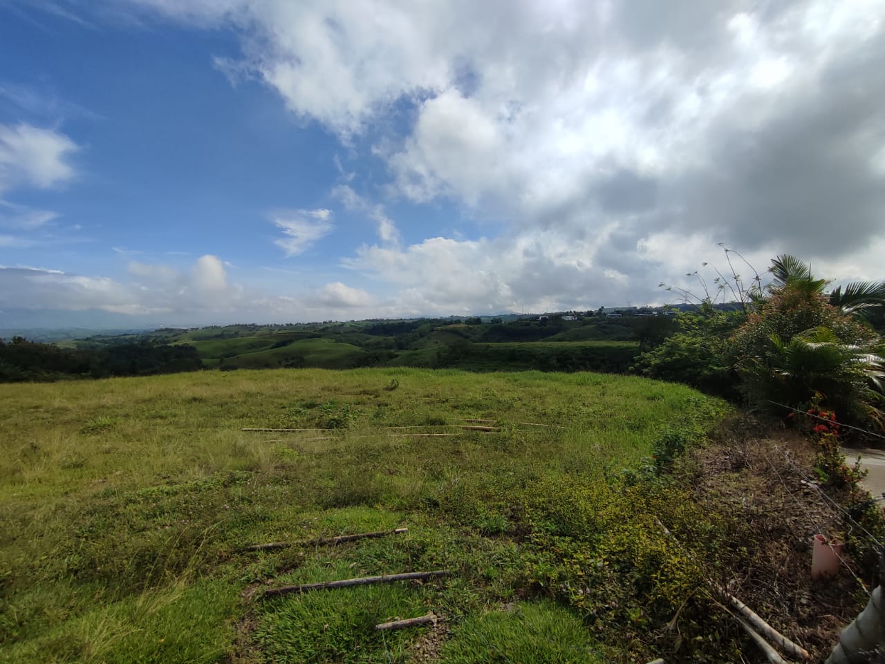 Foto de Lote / terreno en Venta en Cerritos, Pereira - 9 - 279063214