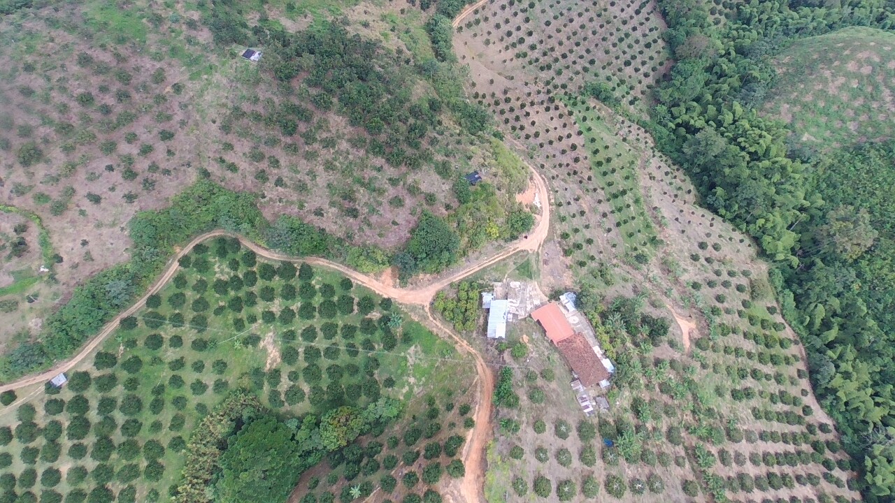 Foto de Finca en Venta en Vereda tambores - balboa, Pereira - 6 - 279070307