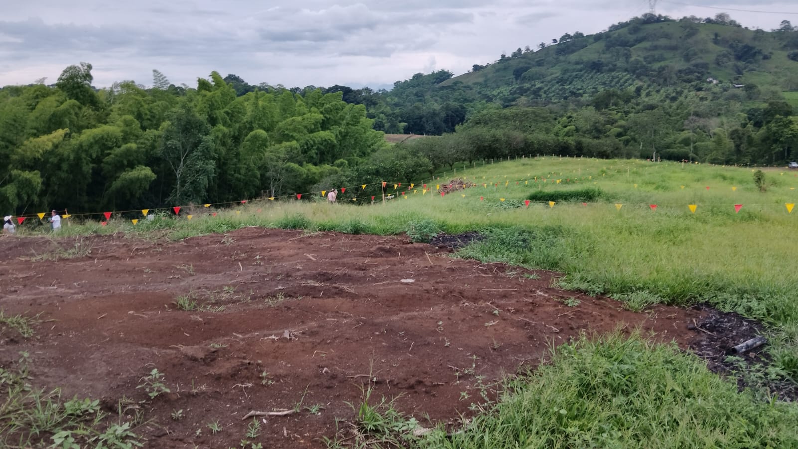 Foto de Lote / terreno para Venta en Anserma, Anserma - 279069114