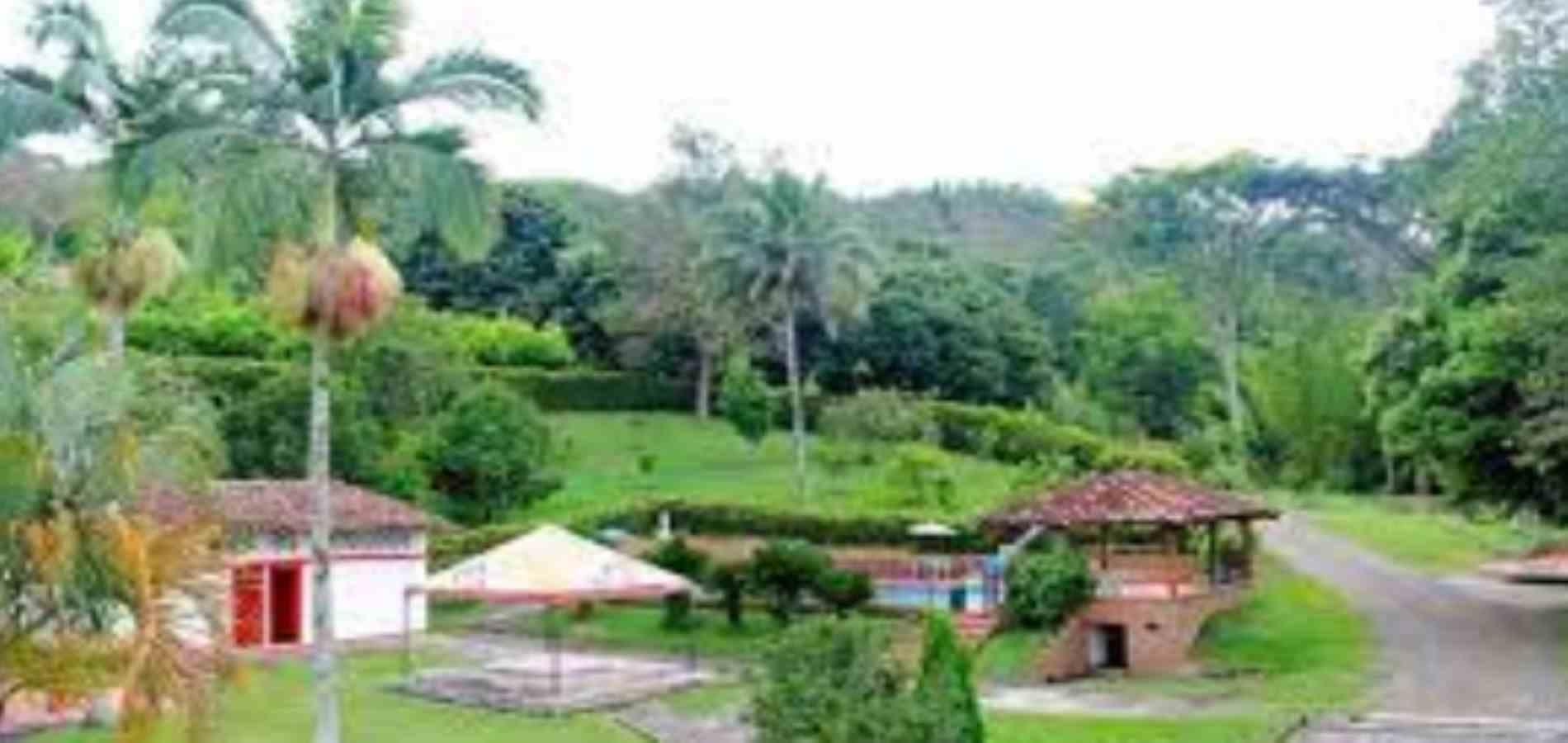 Foto de Finca en Venta en La cabaña, Manizales - 7 - 279054226